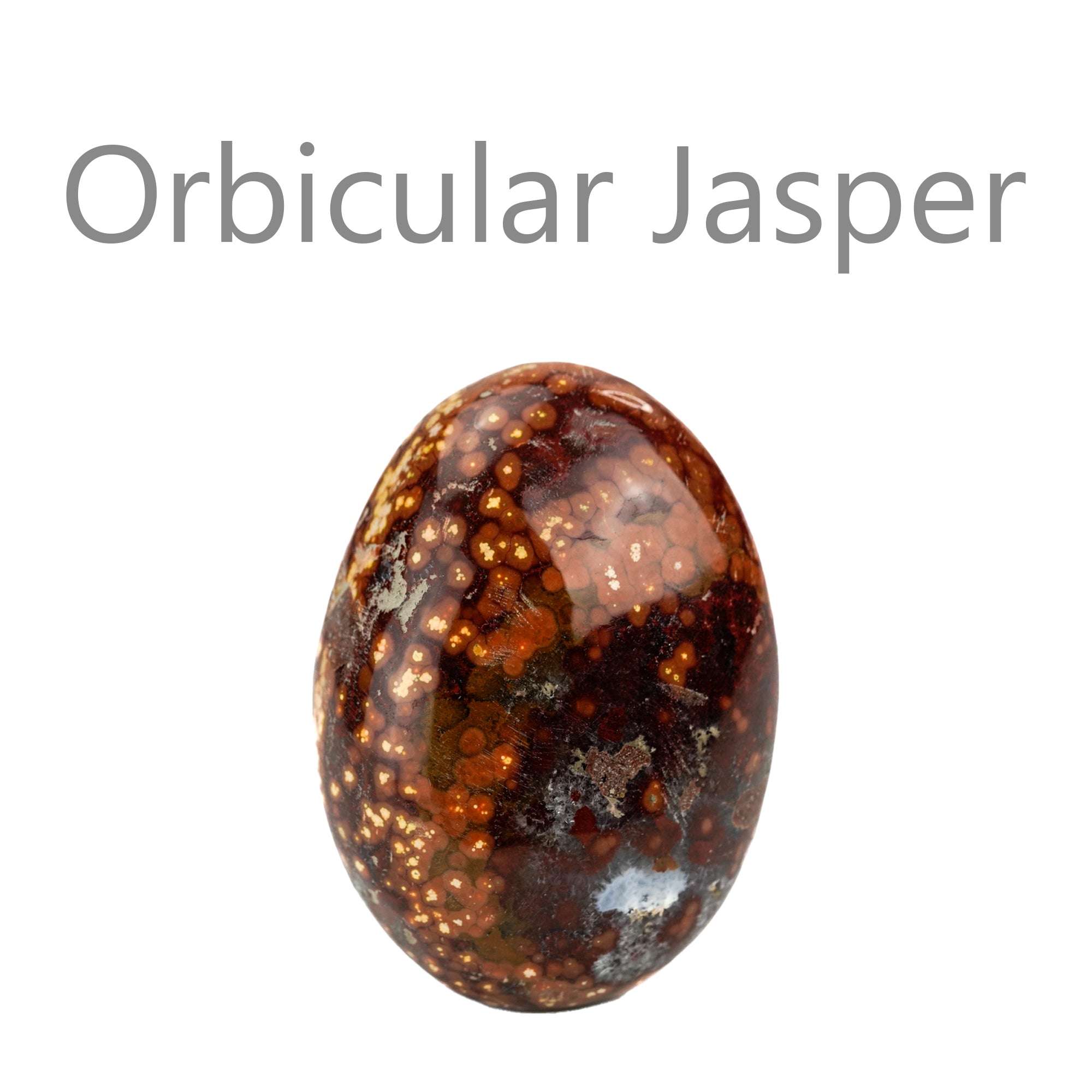 orbicular jasper