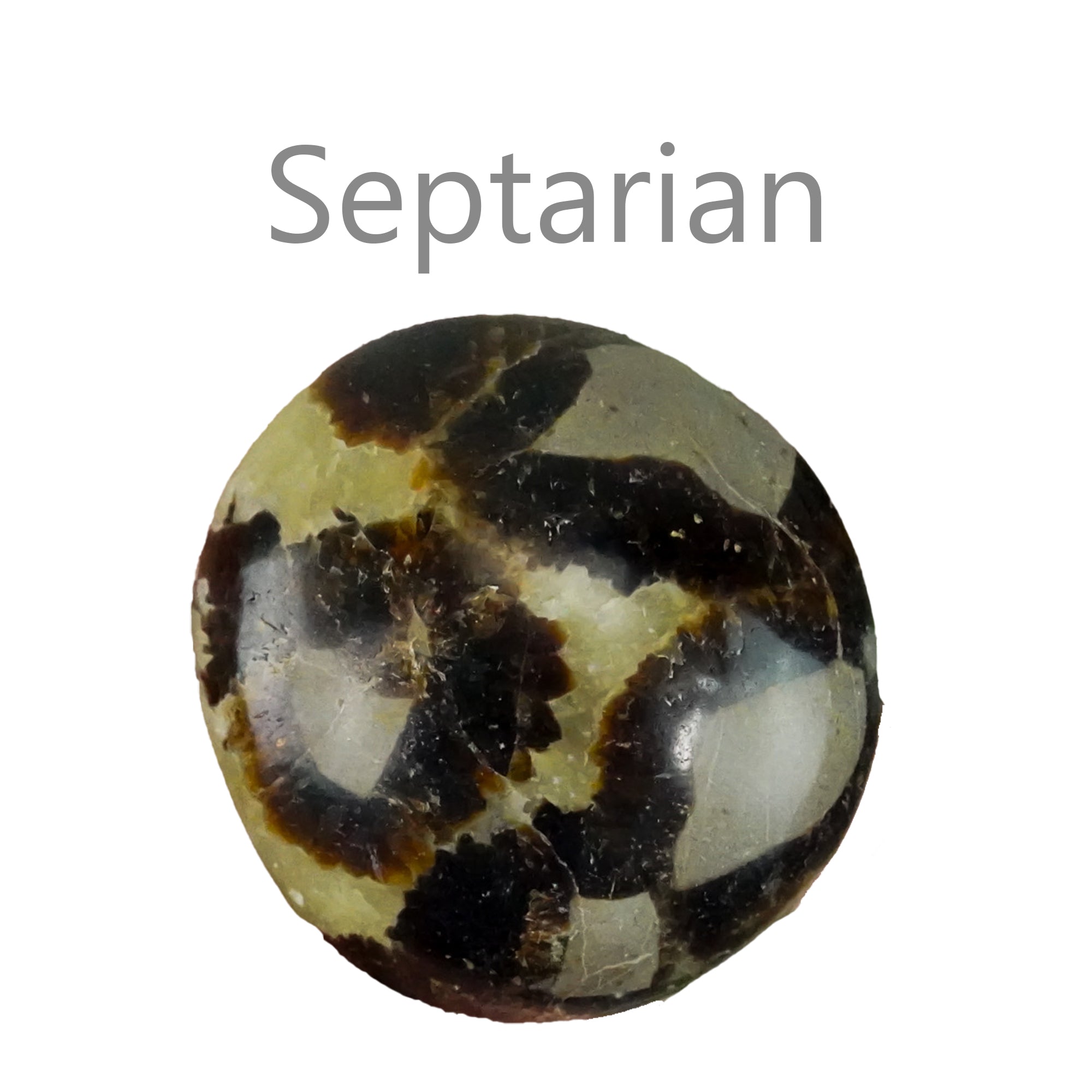 septarian
