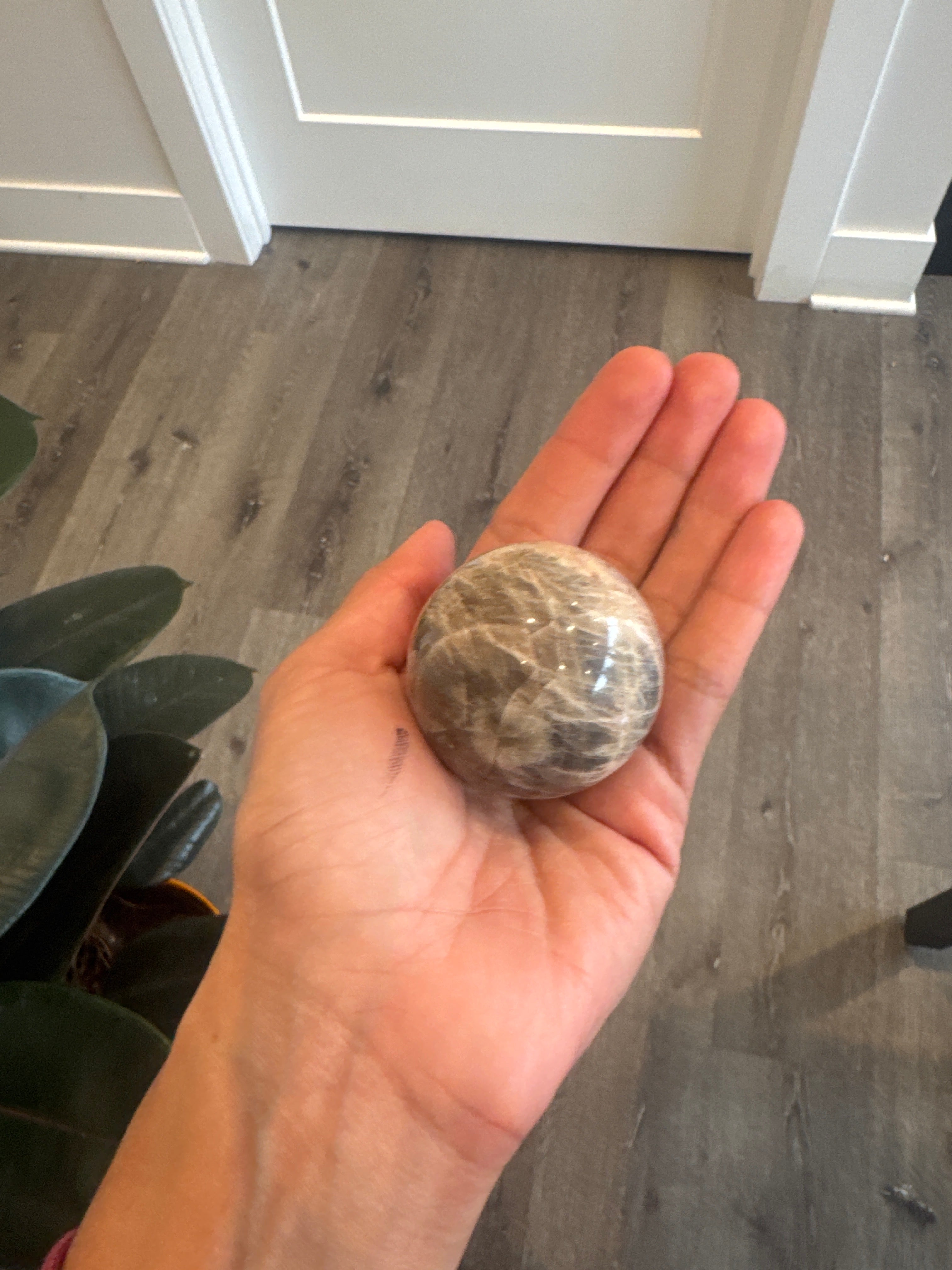 Black moonstone sphere