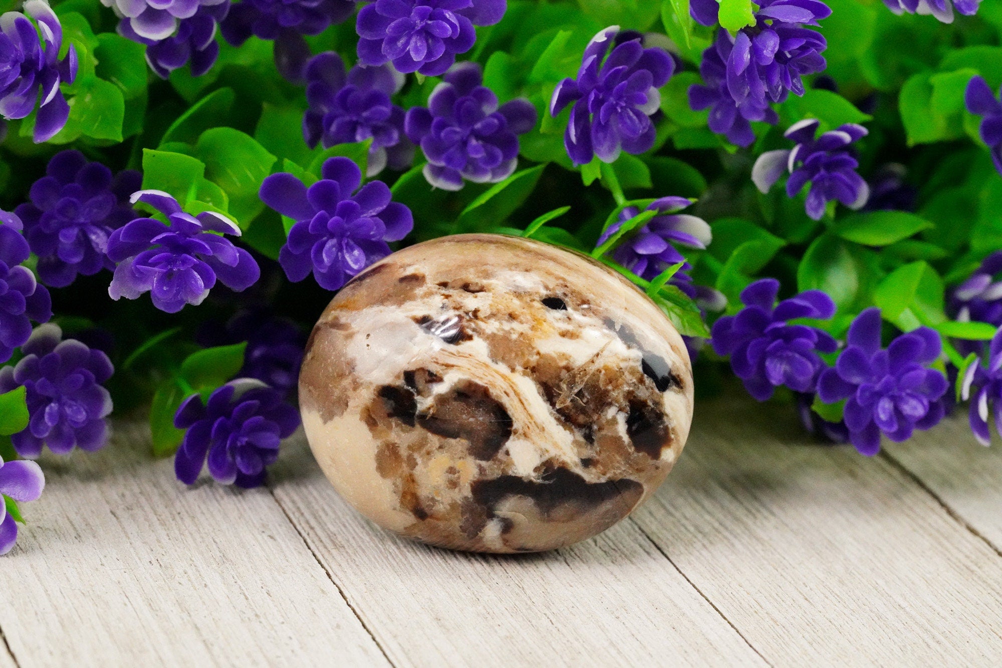 Chocolate Calcite Aragonite Palm Stone, Coffee Calcite