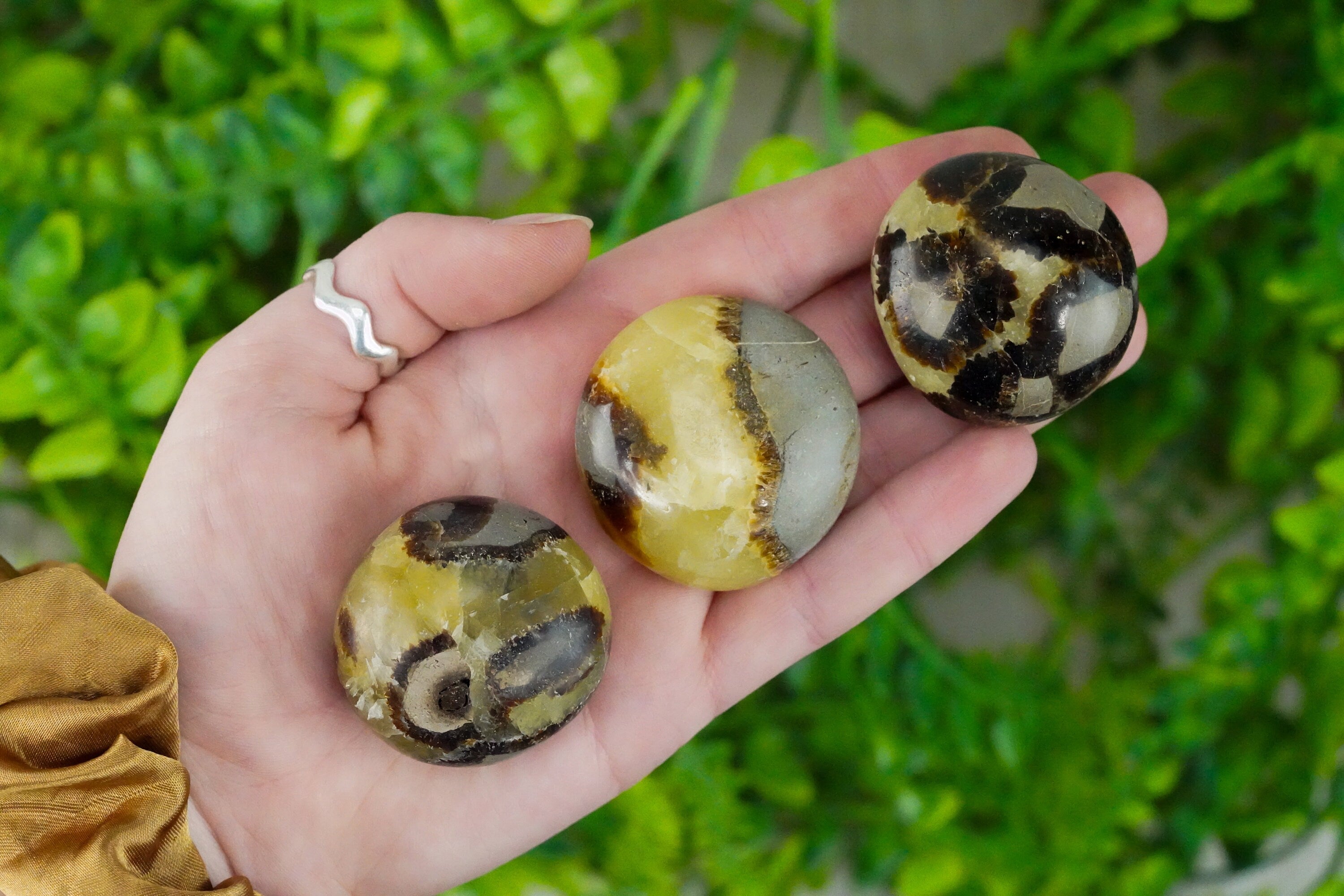 Septarian Pocket Stone