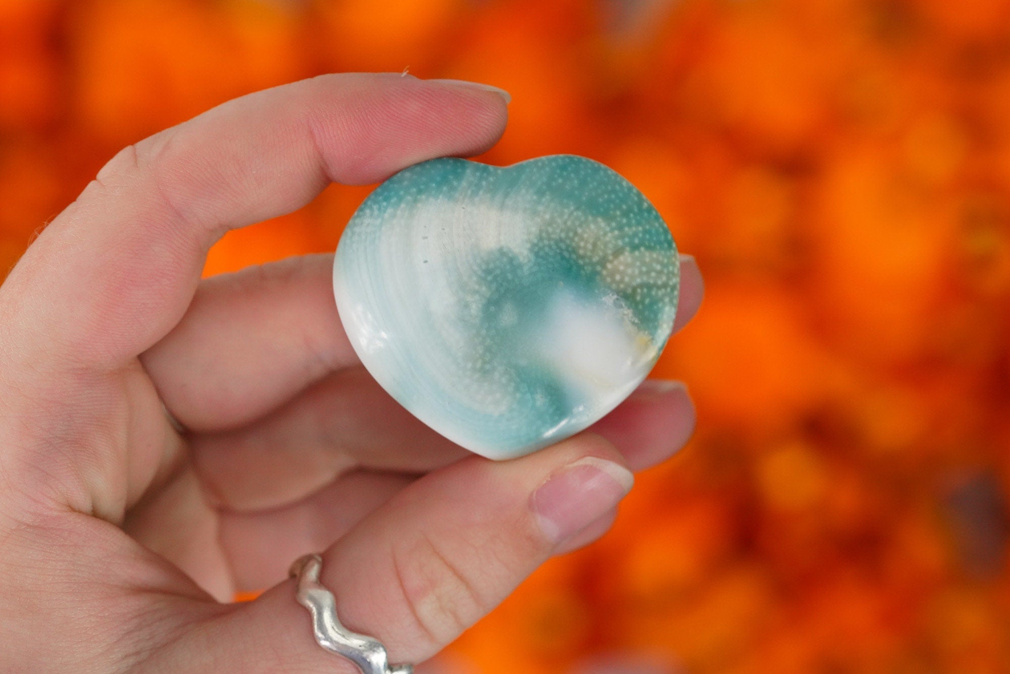 Shiva Eye Shell Heart