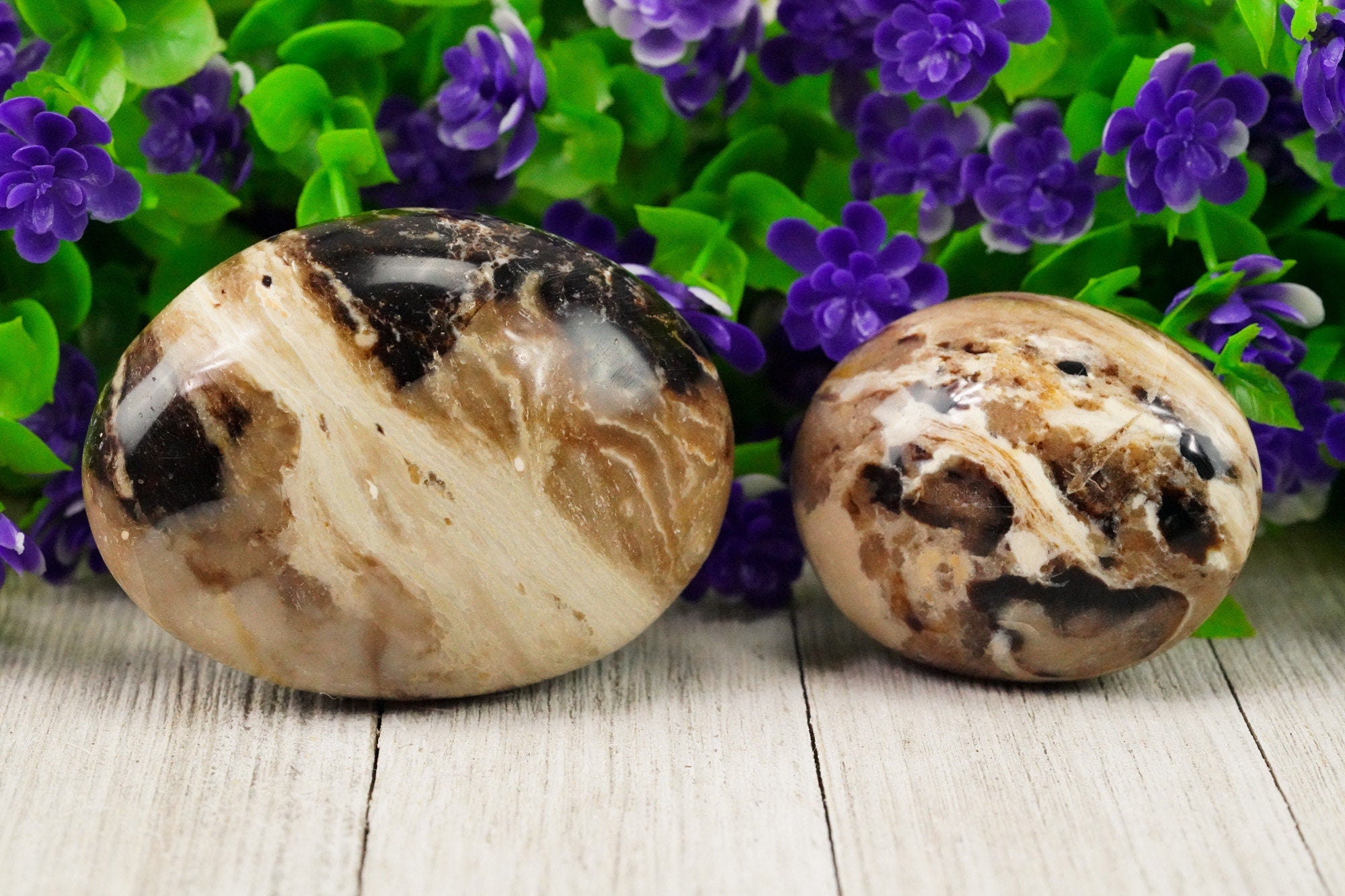 Chocolate Calcite Aragonite Palm Stone, Coffee Calcite