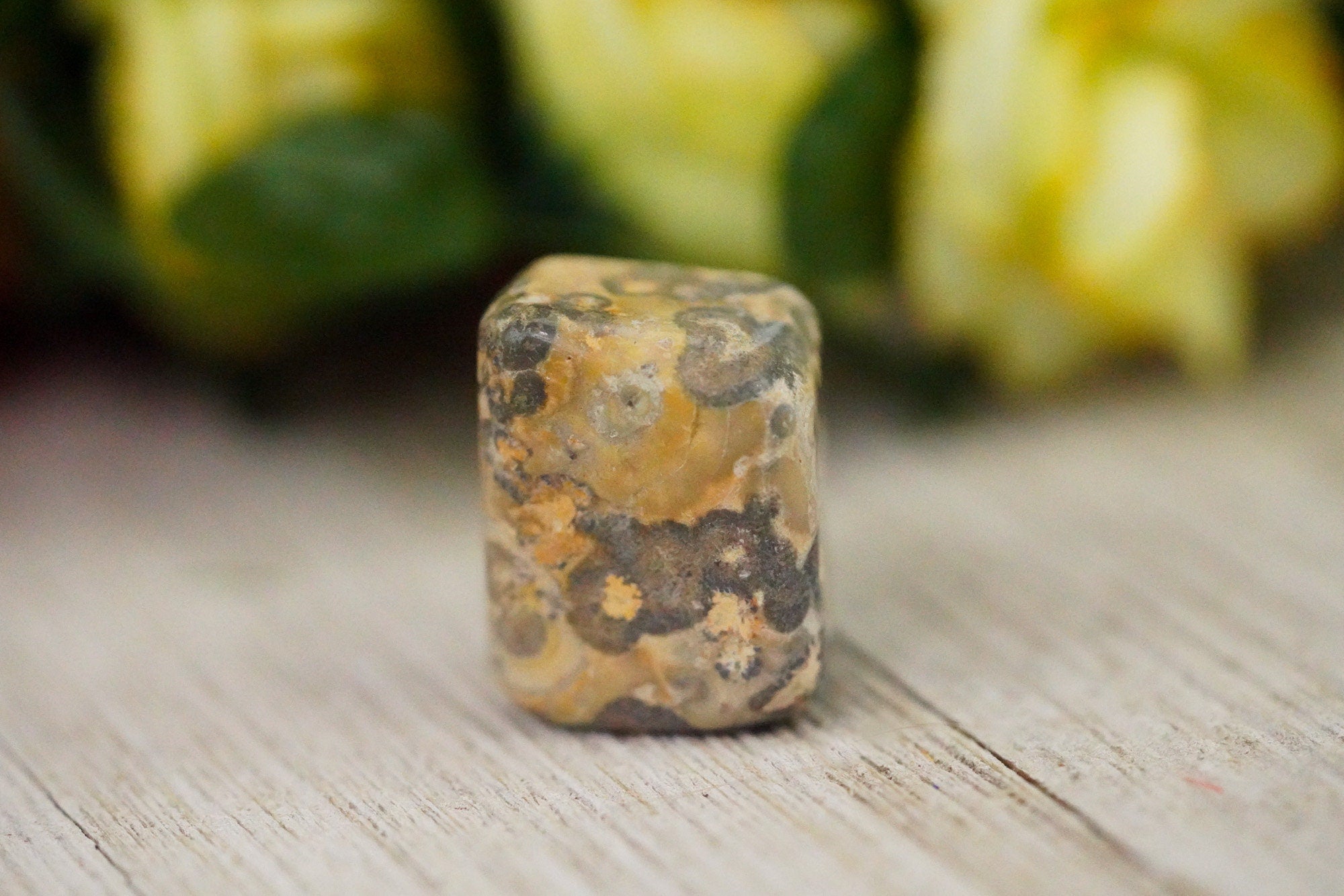 Tumbled Crazy Lace Agate Polished Stone