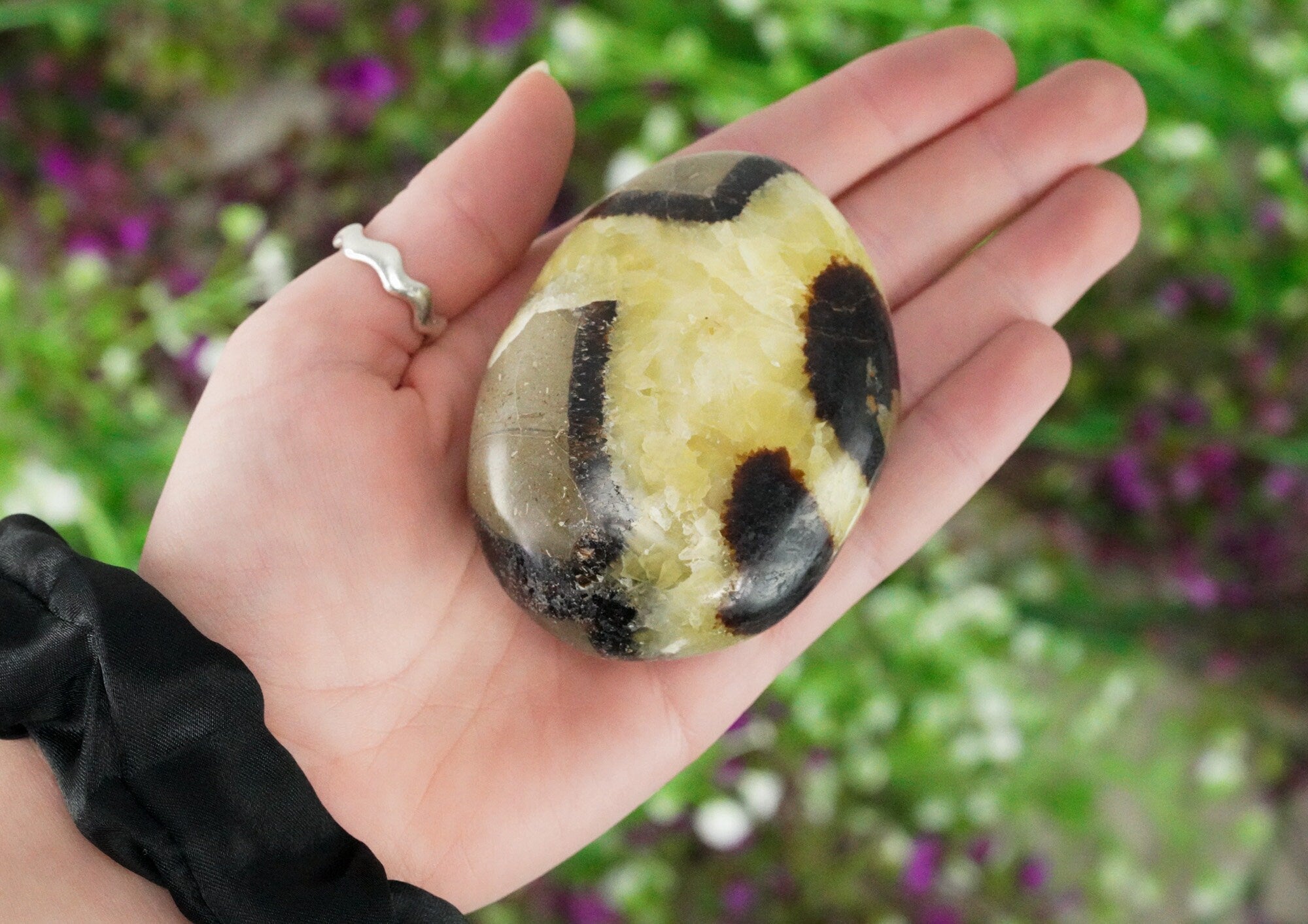 Septarian Palm Stone