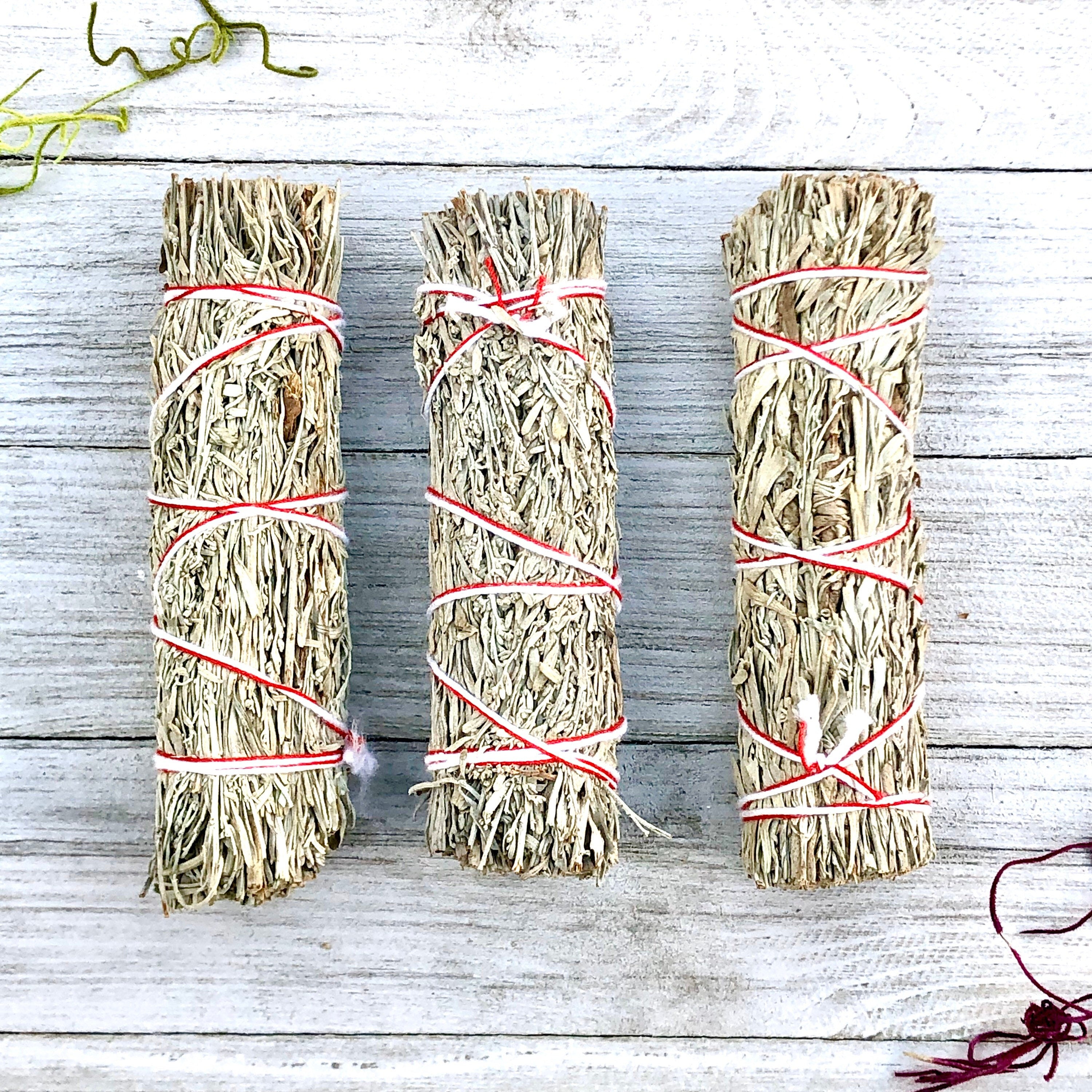 Blue Sage Smudge Stick 4in