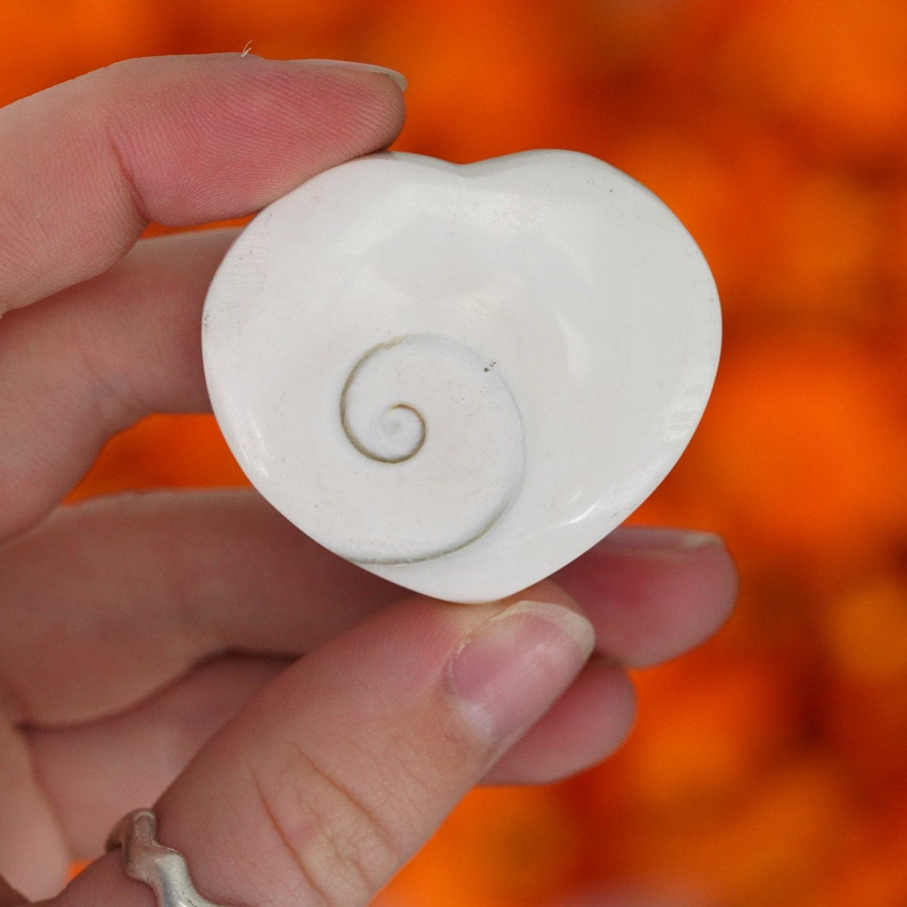 Shiva Eye Shell Heart