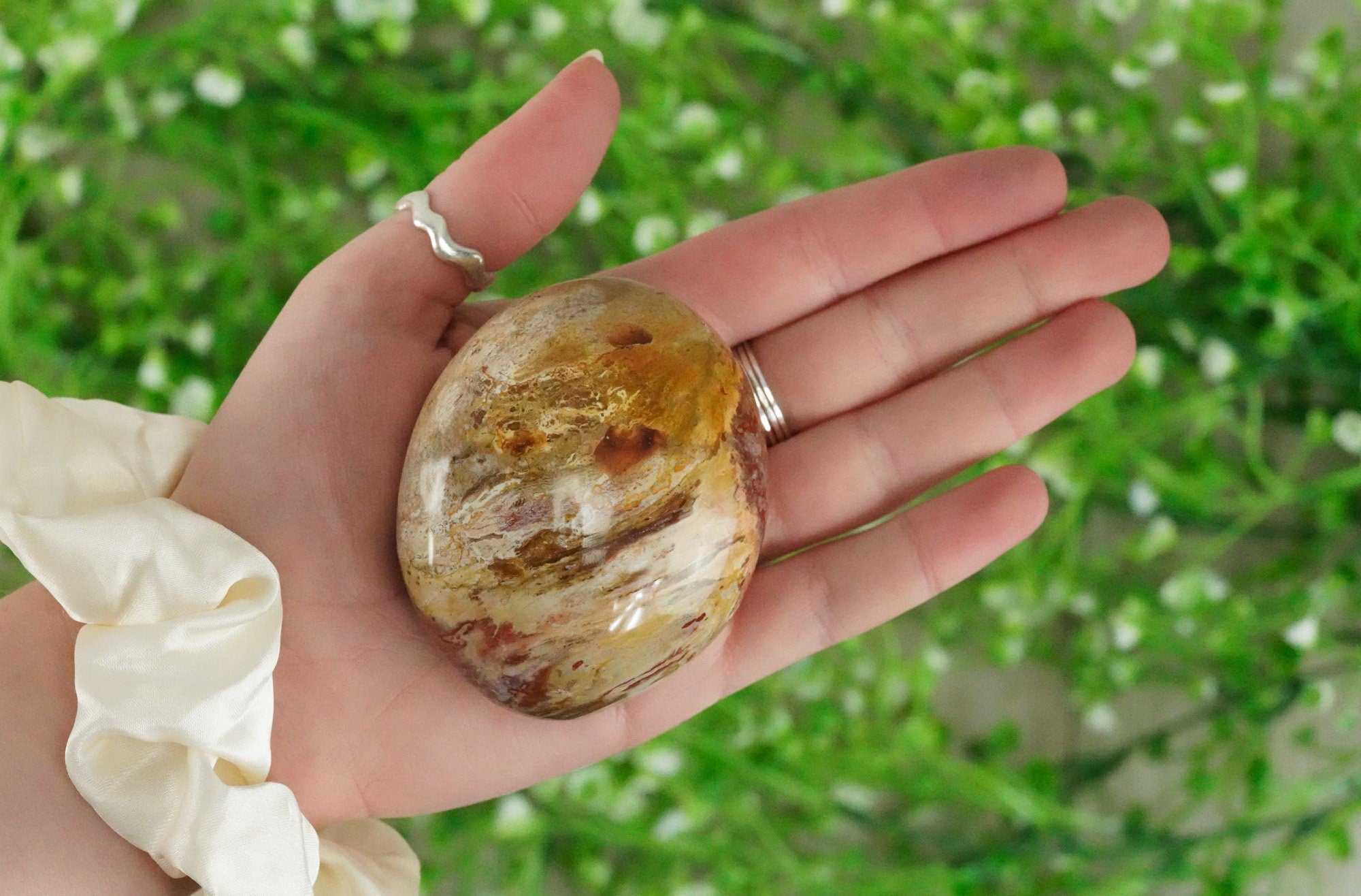 Petrified Wood Palm Stone