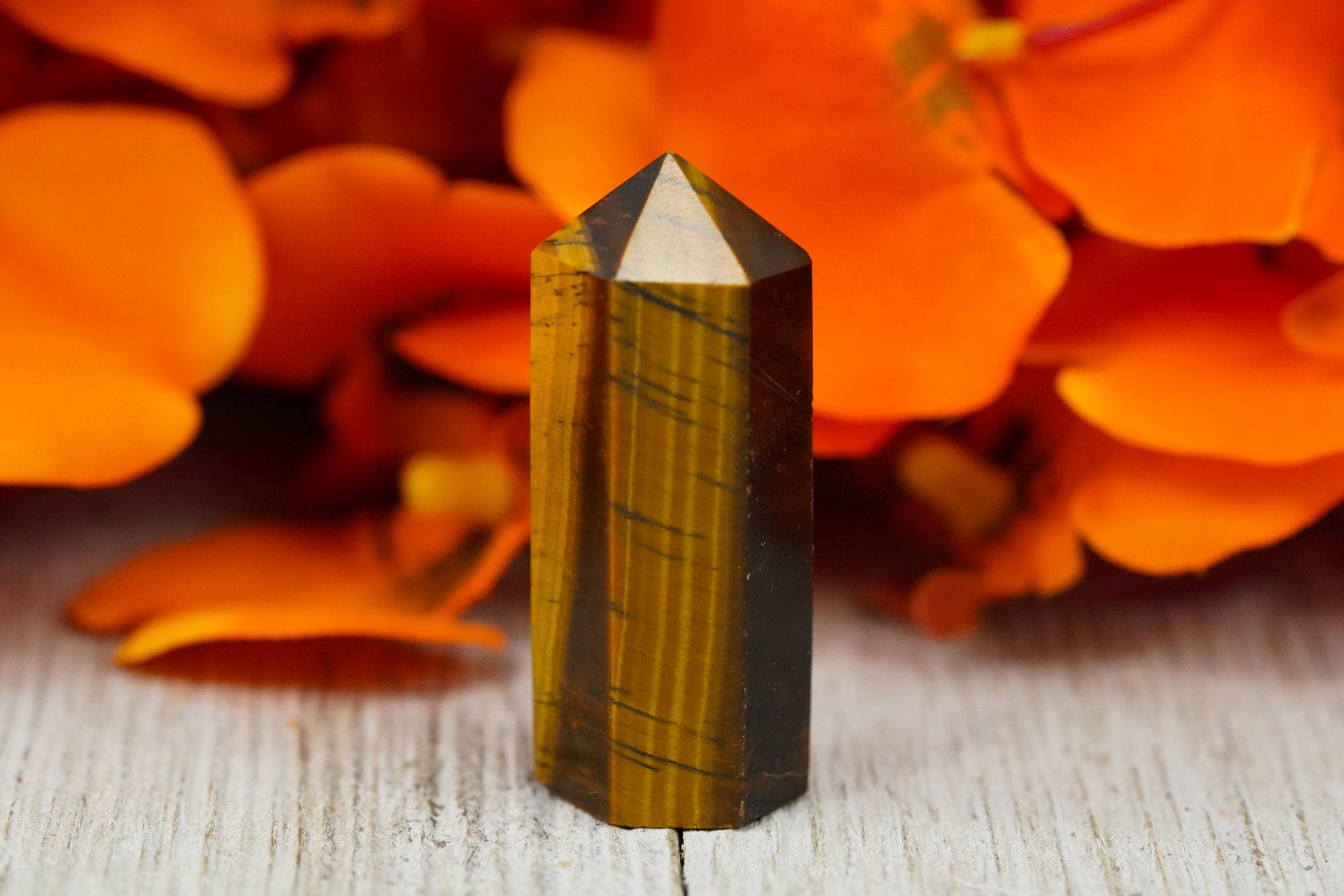 Tigers Eye Point