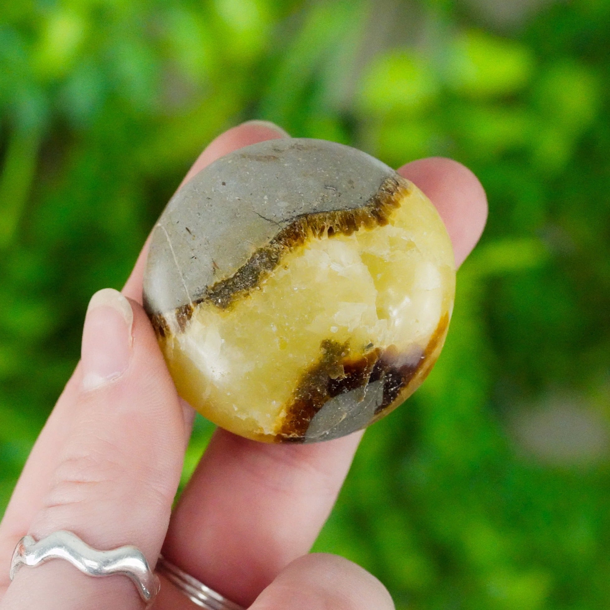 Septarian Pocket Stone