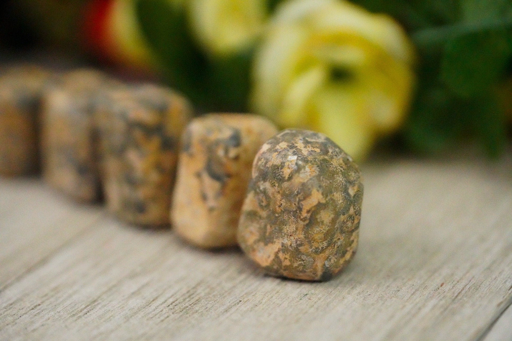 Tumbled Crazy Lace Agate Polished Stone