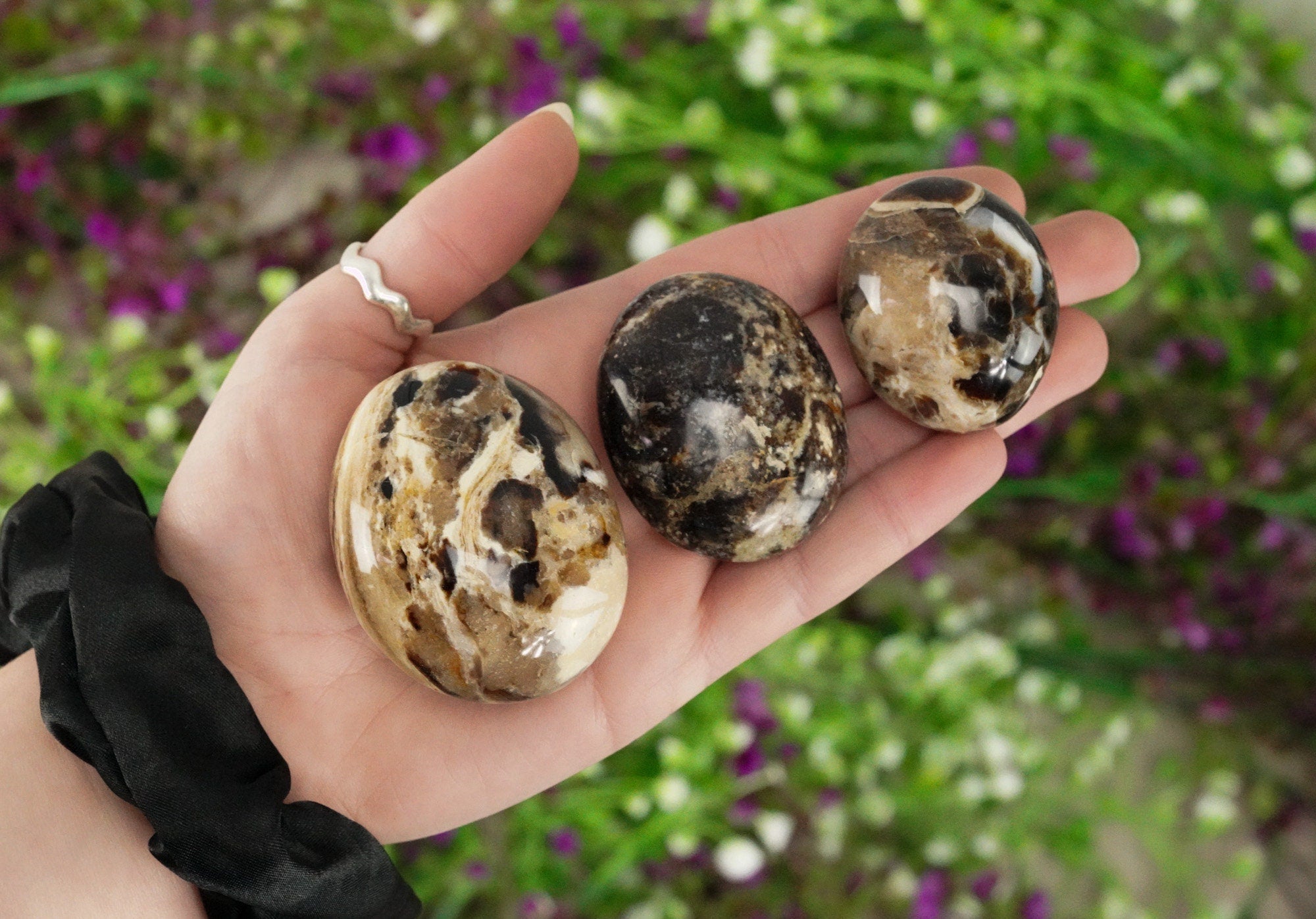 Chocolate Calcite Aragonite Palm Stone, Coffee Calcite