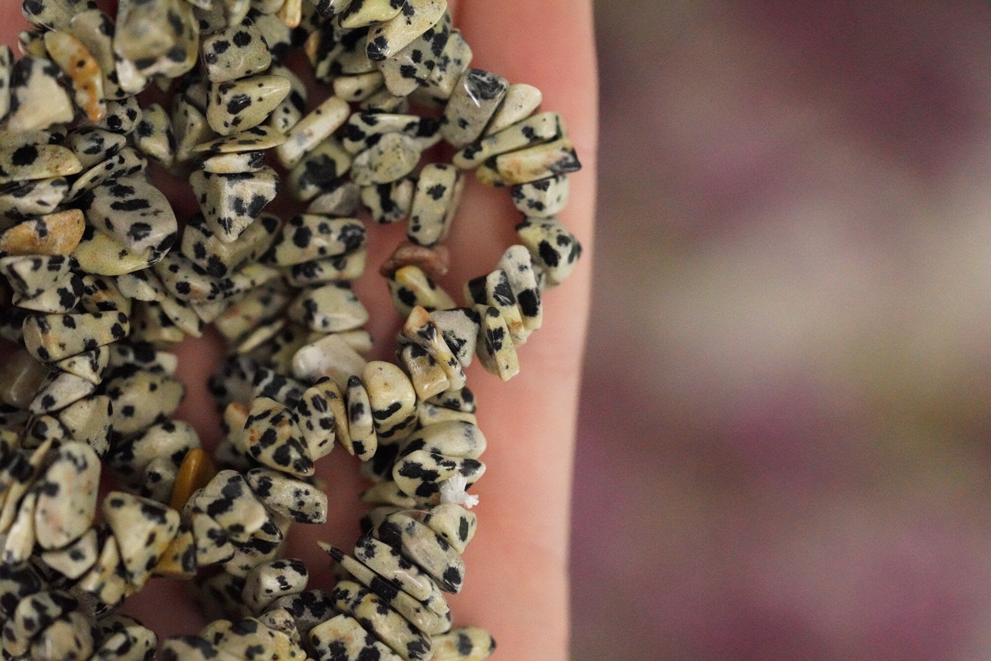 Dalmatian Jasper Tumbled Stone Crystal Chip Bracelet