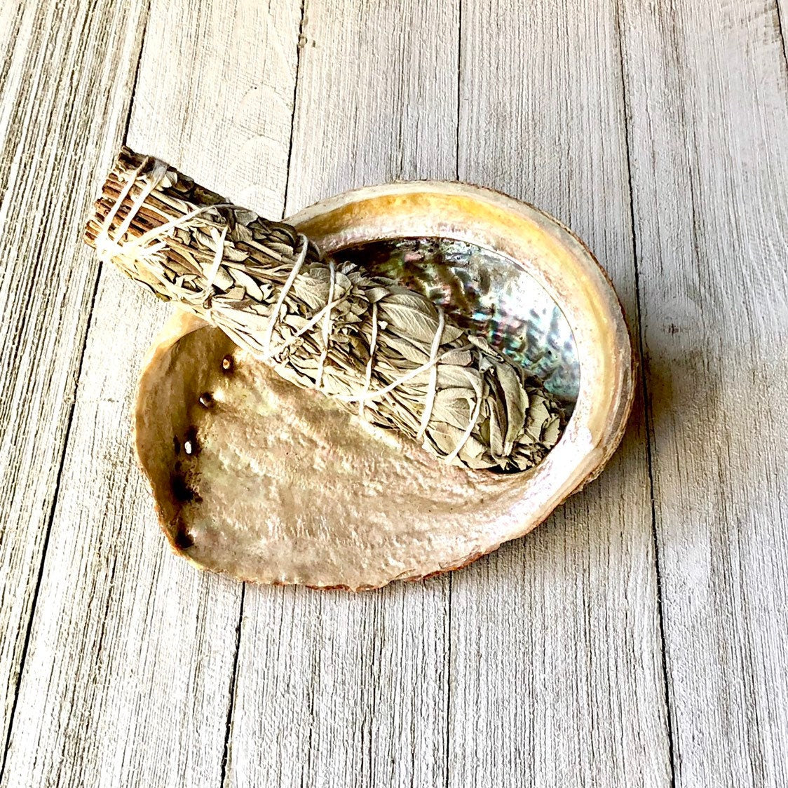 Smudge Essentials - Includes: Abalone Shell and White Sage Stick