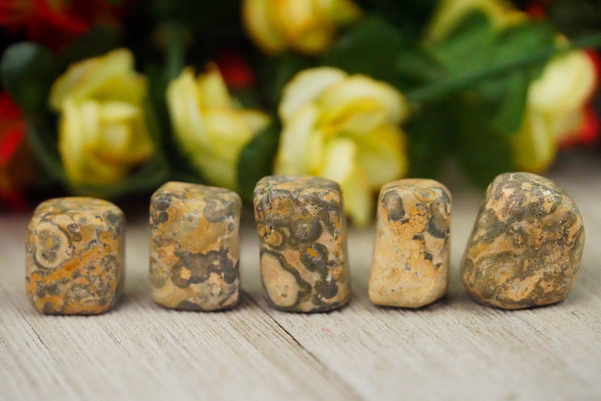 Tumbled Crazy Lace Agate Polished Stone