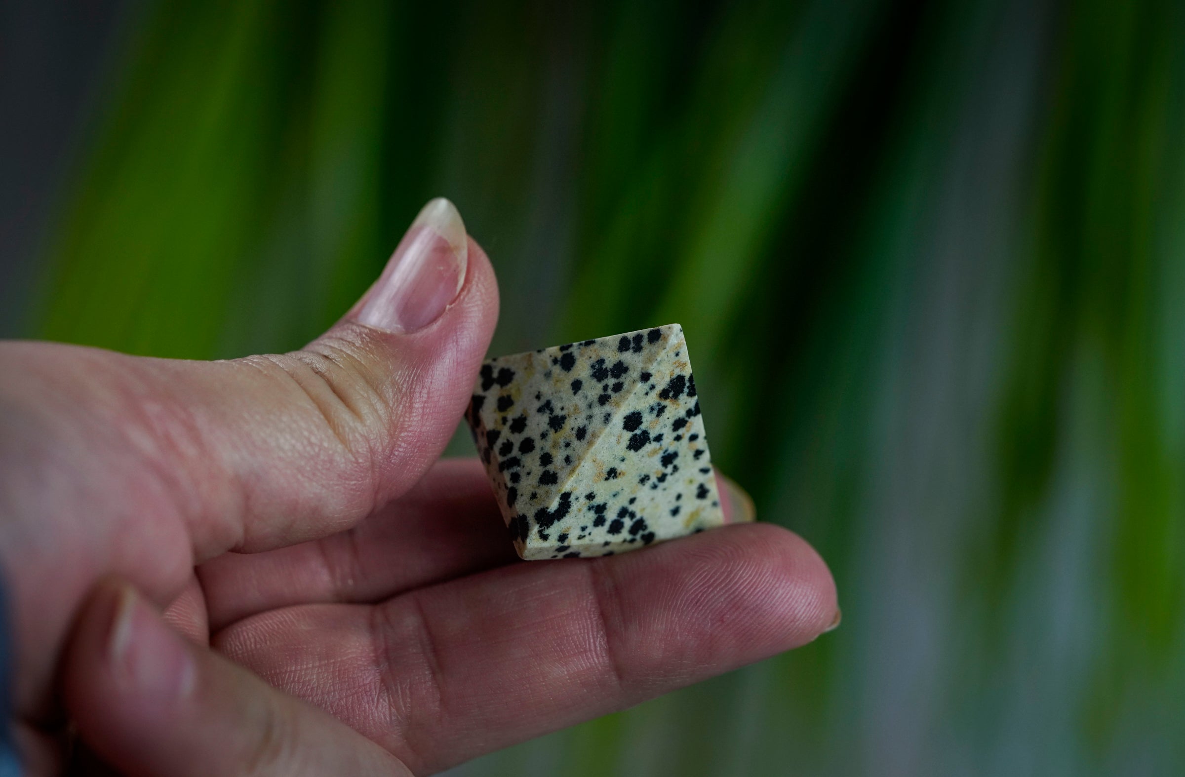 Dalmatian Jasper Crystal Pyramid