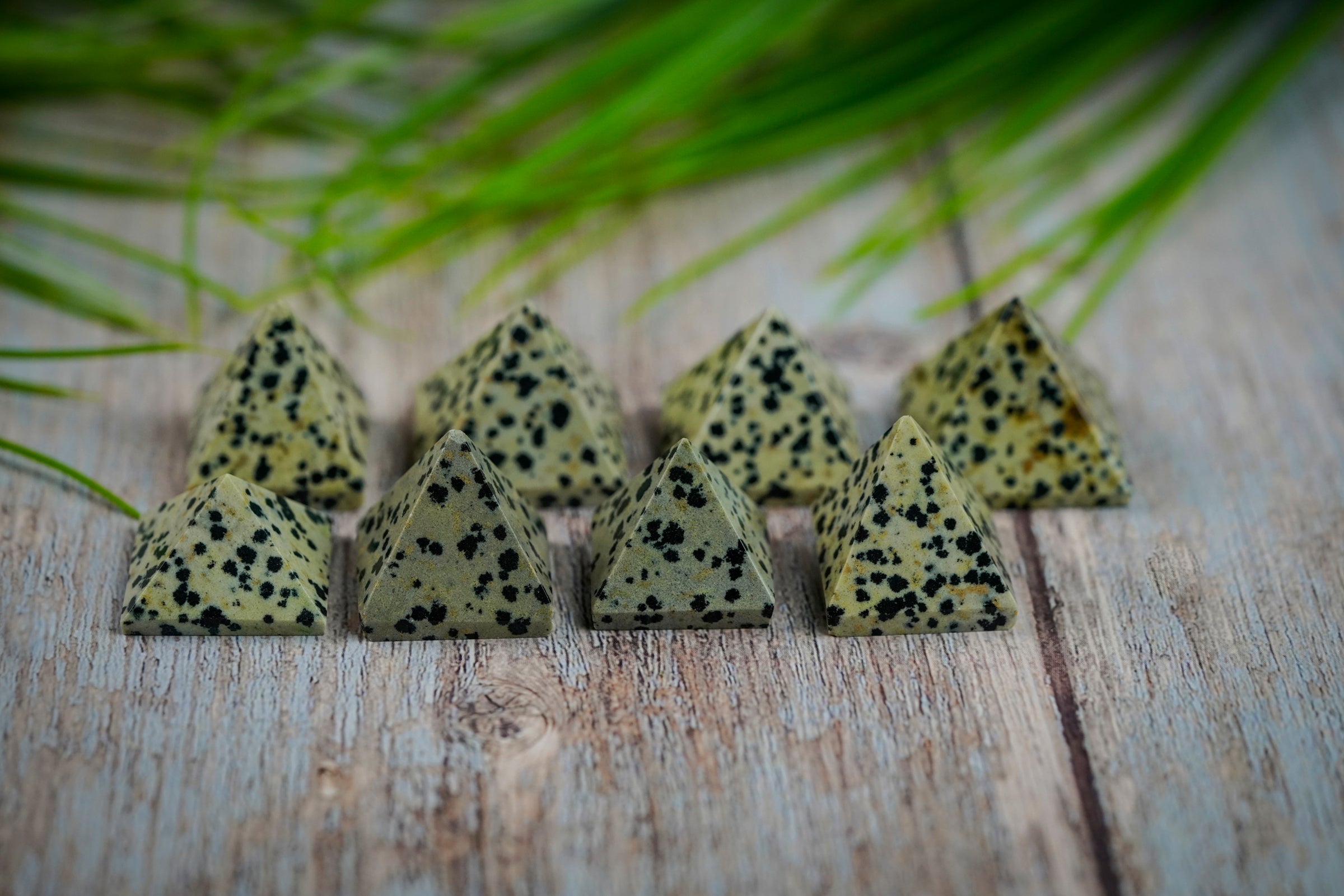 Dalmatian Jasper Crystal Pyramid