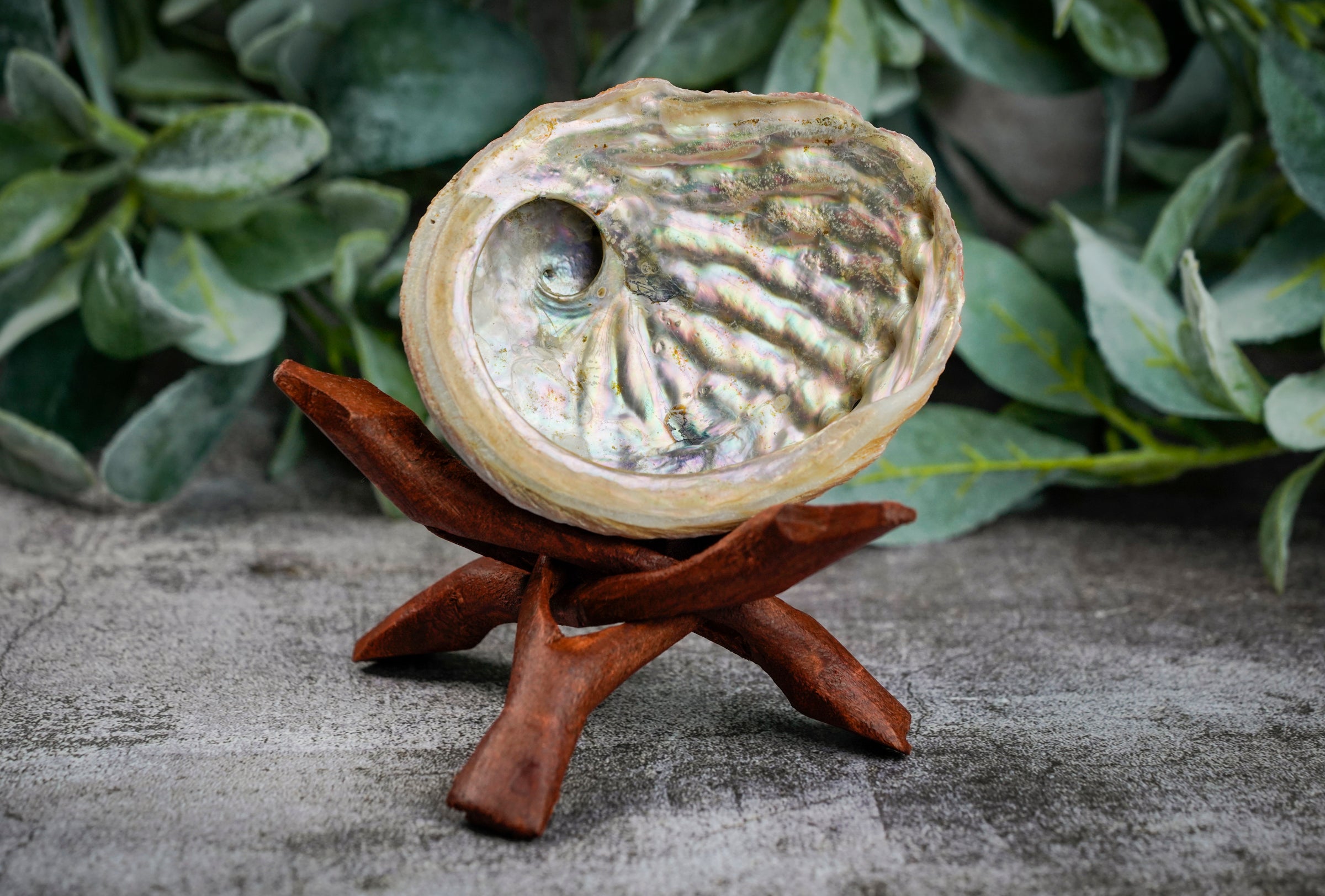 Smudge Kit - Includes: Large Abalone Shell, White Sage Stick, 7in Wood Tripod