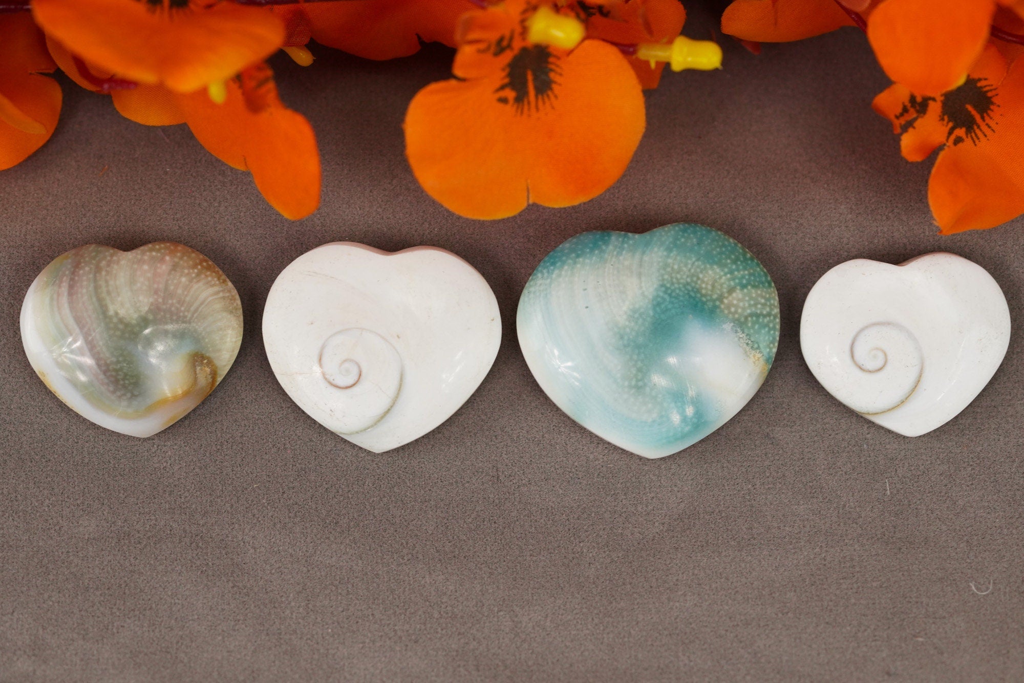 Shiva Eye Shell Heart