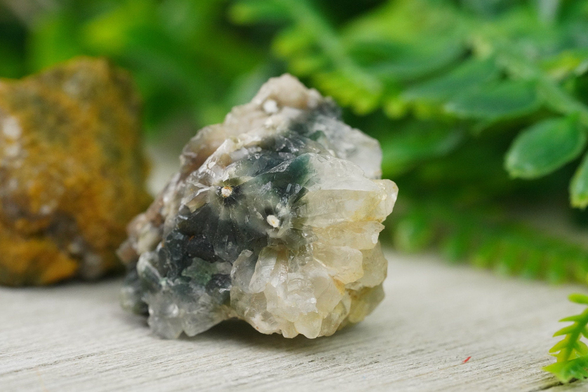 Raw Ocean Jasper Rough Crystal Orbicular Jasper