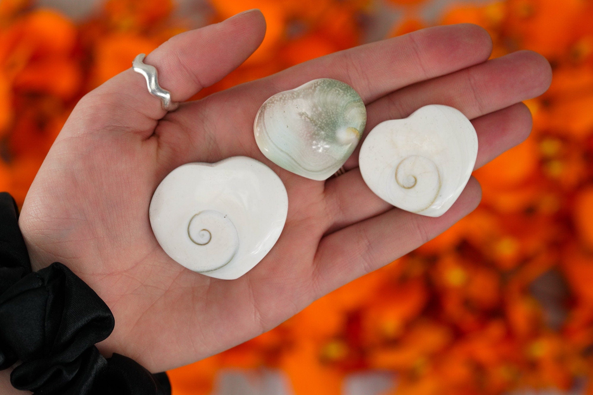 Shiva Eye Shell Heart