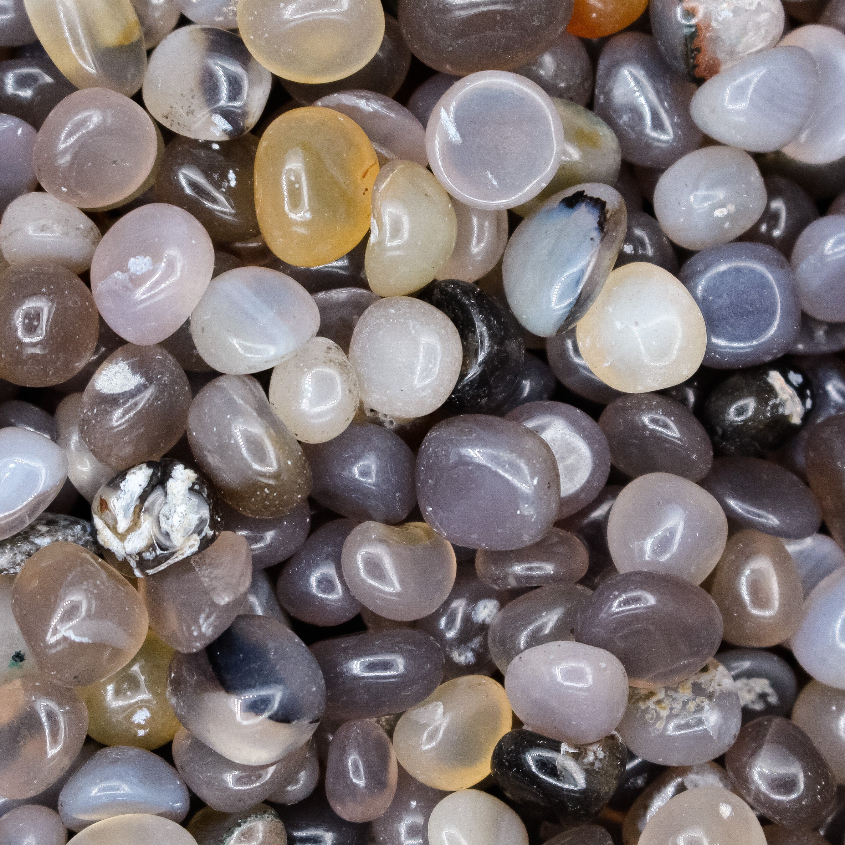 Botswana Agate Stone Tumbled Crystal Chips