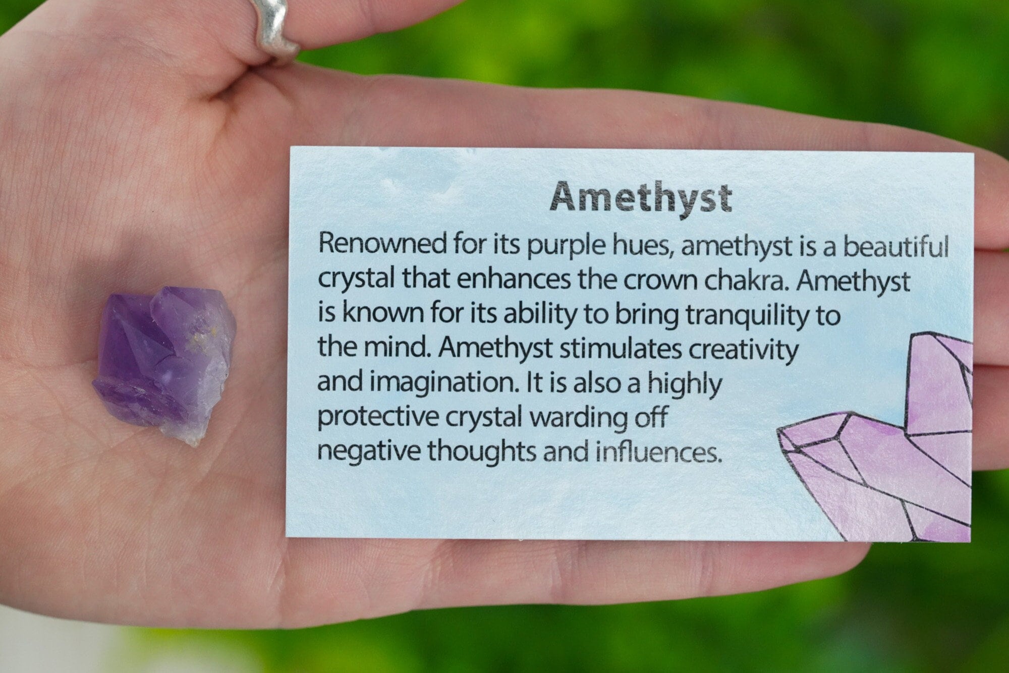 Raw Amethyst Crystal + Info Card