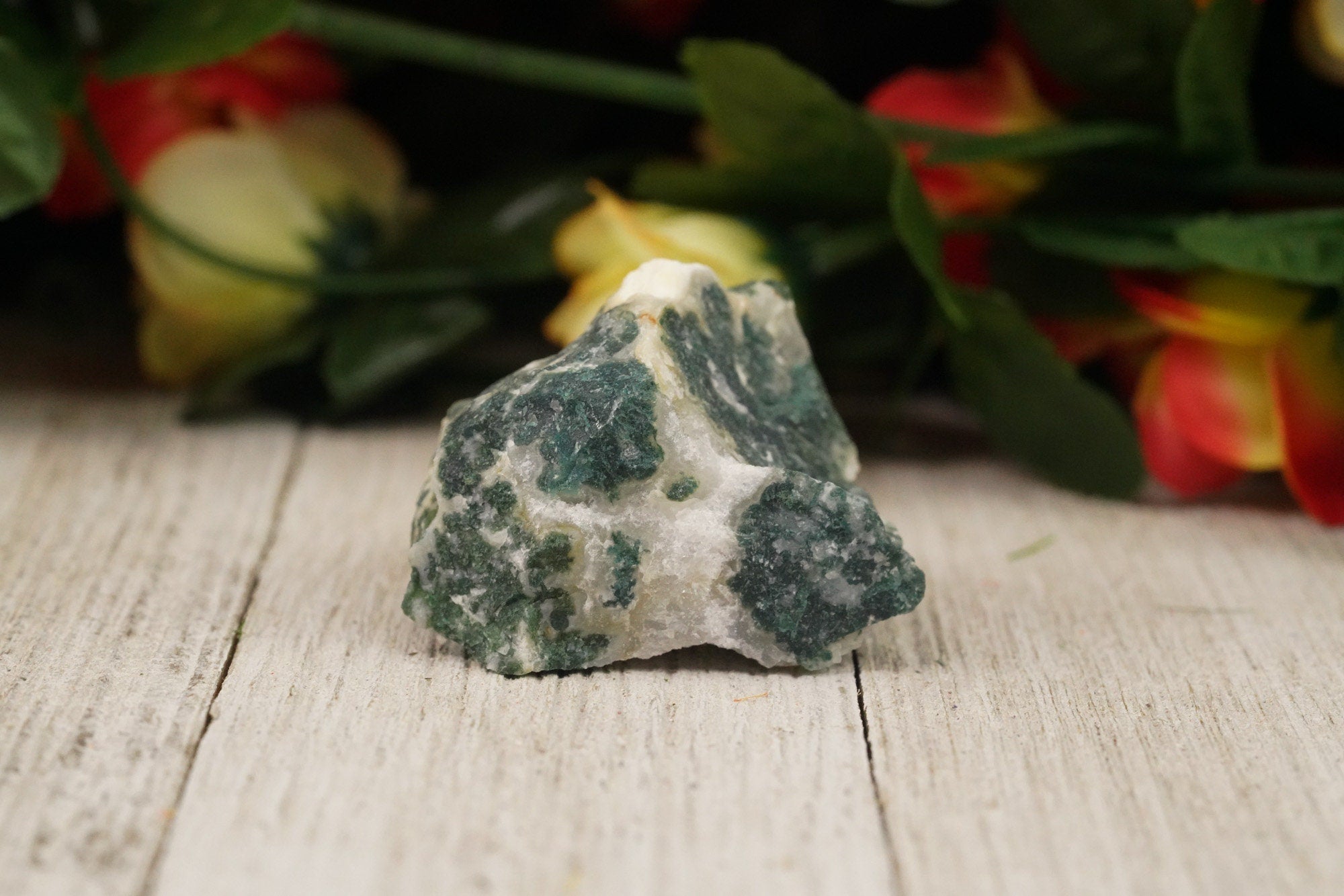 Tree Agate Rough Crystal