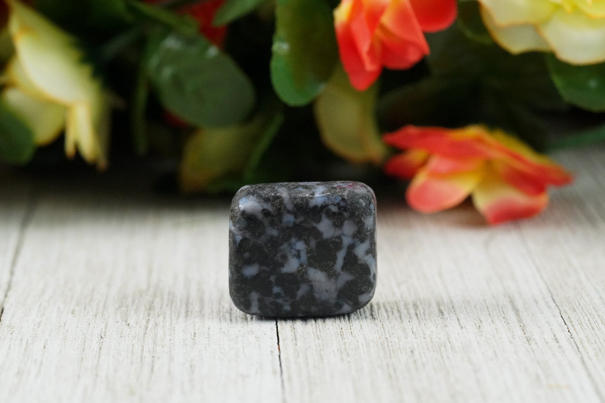 Tumbled Indigo Gabbro Polished Stone
