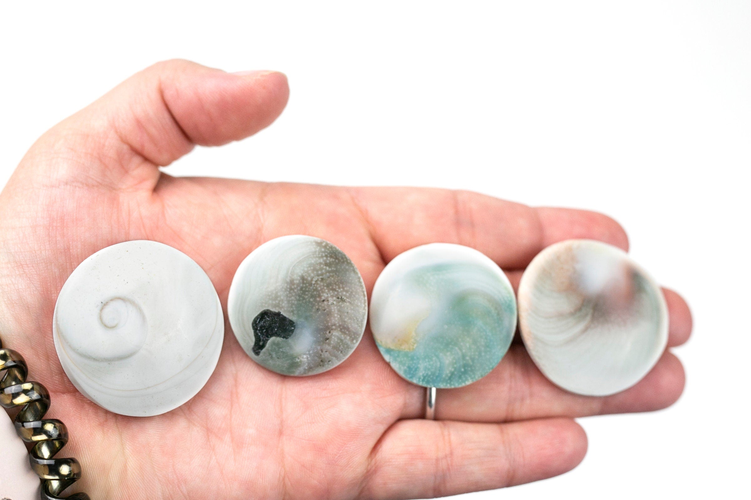 Shiva Eye Shell Round