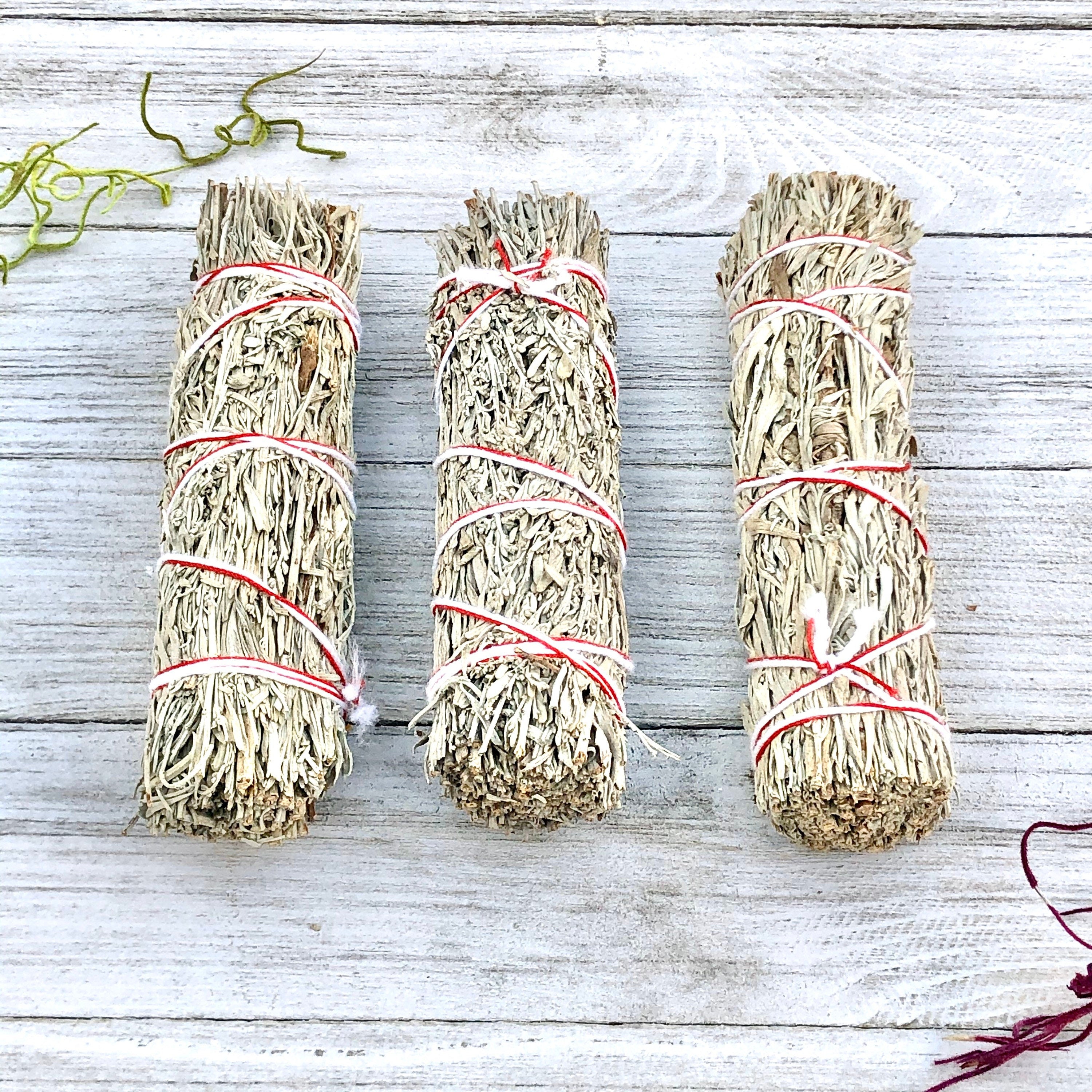 Blue Sage Smudge Stick 4in