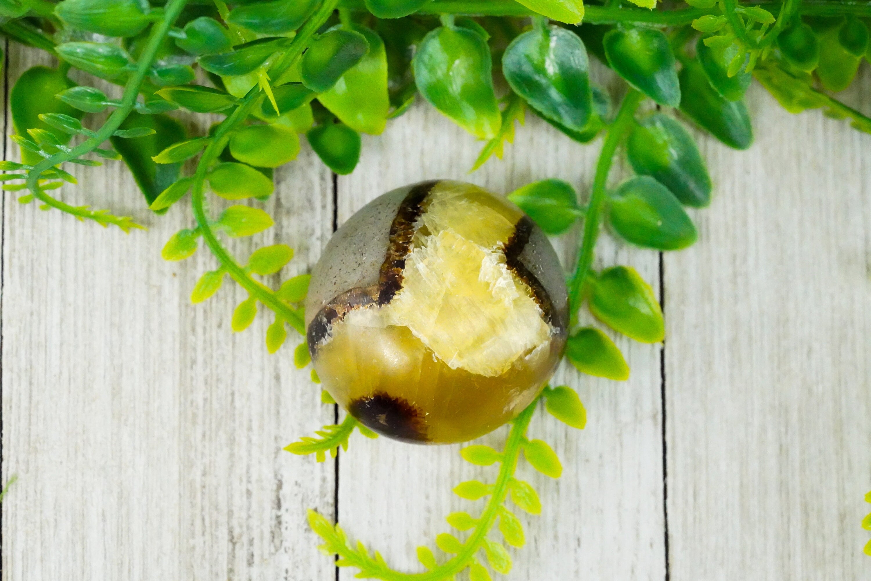 Septarian Pocket Stone