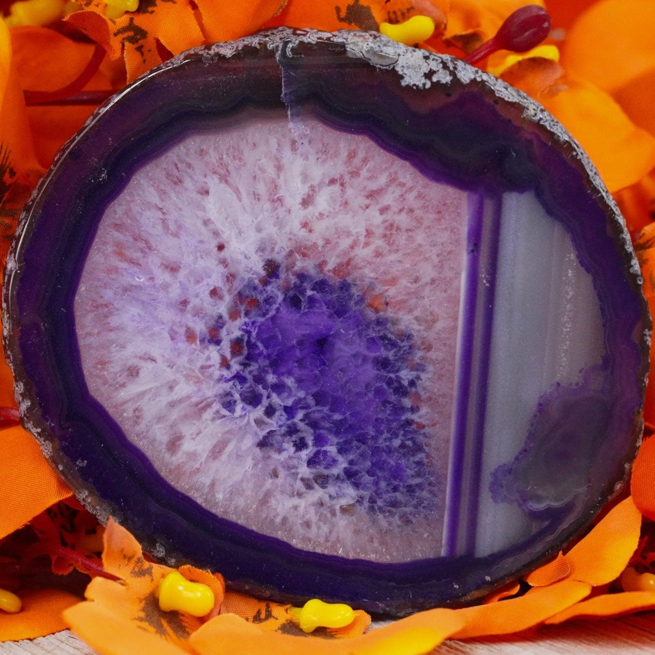 Purple Agate Slices