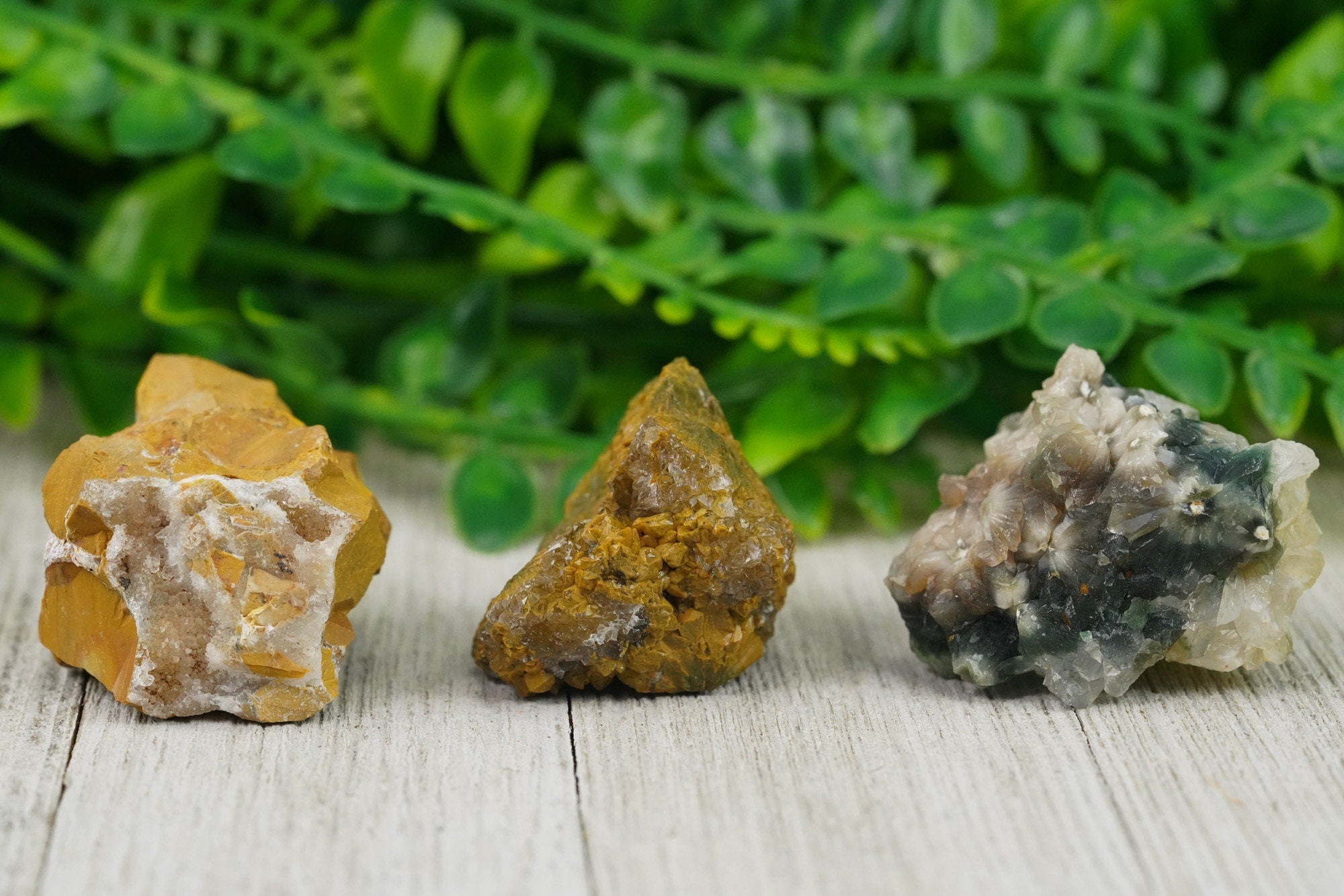 Raw Ocean Jasper Rough Crystal Orbicular Jasper