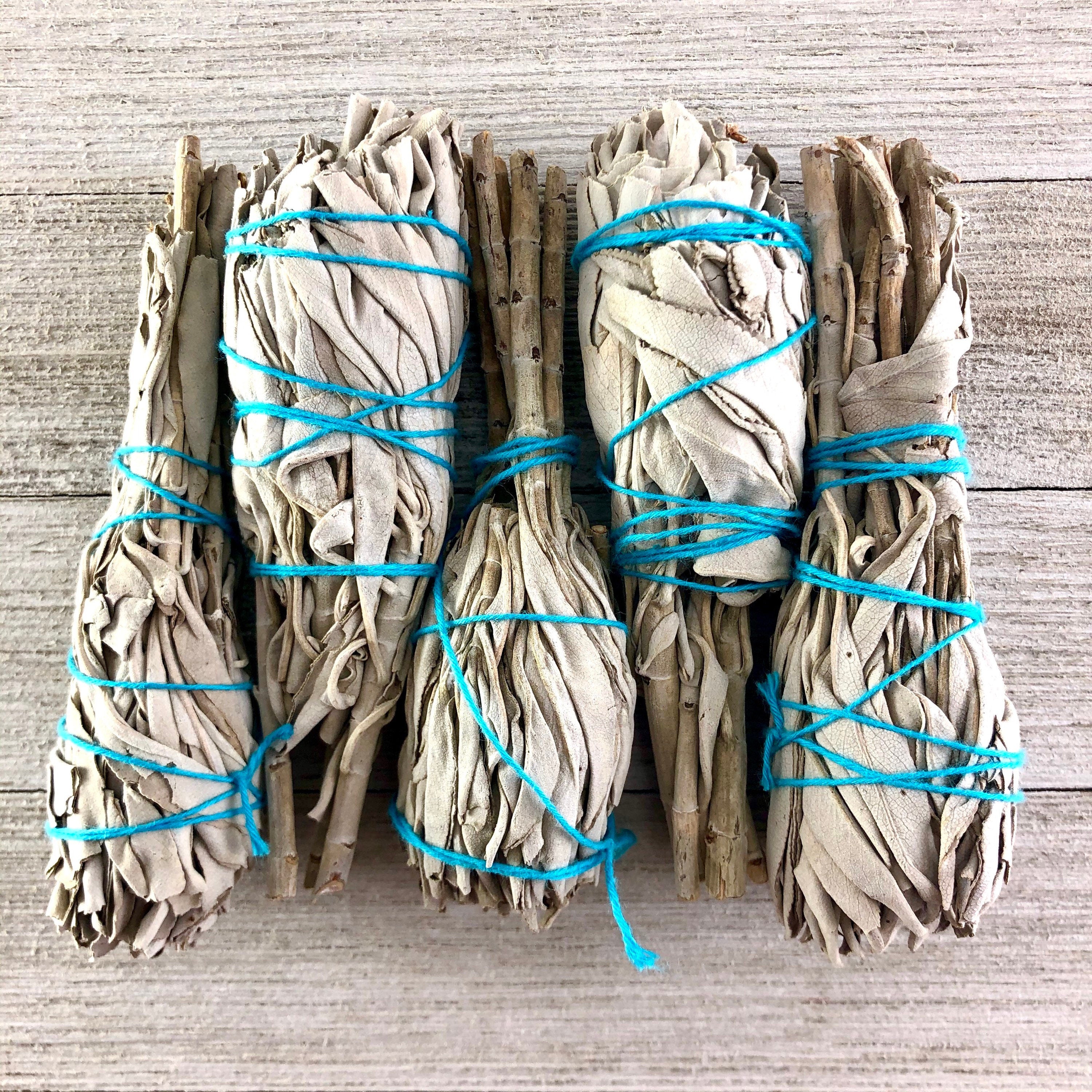 White Sage Torch Smudge Stick