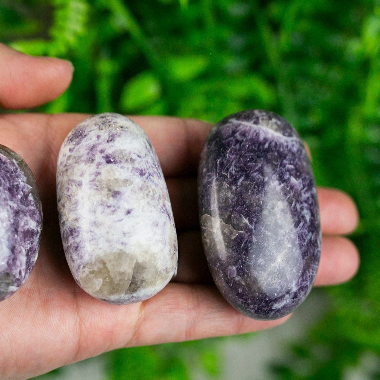 Purple Lepidolite Palm Stone