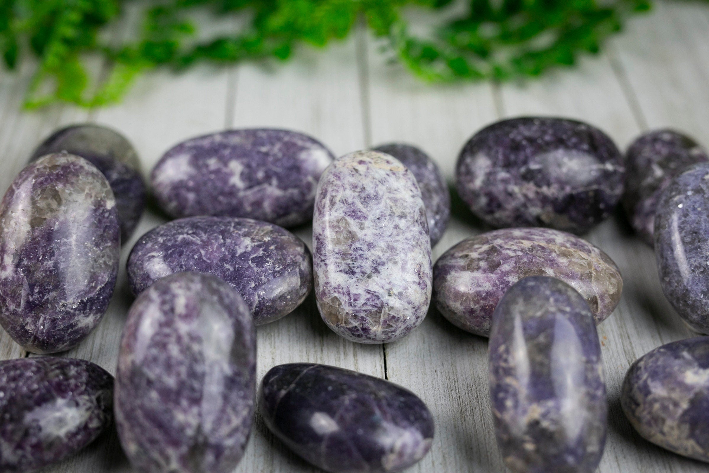 Purple Lepidolite Palm Stone