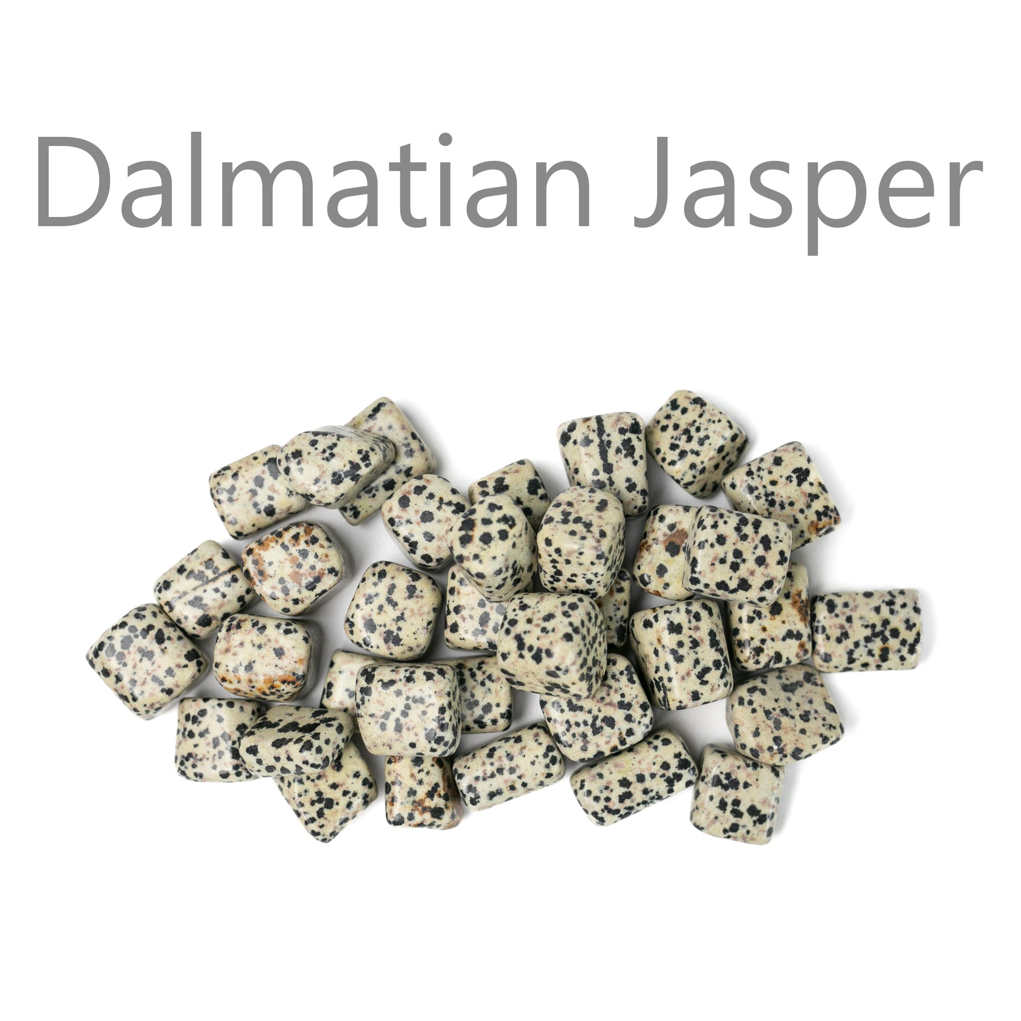 dalmatian jasper