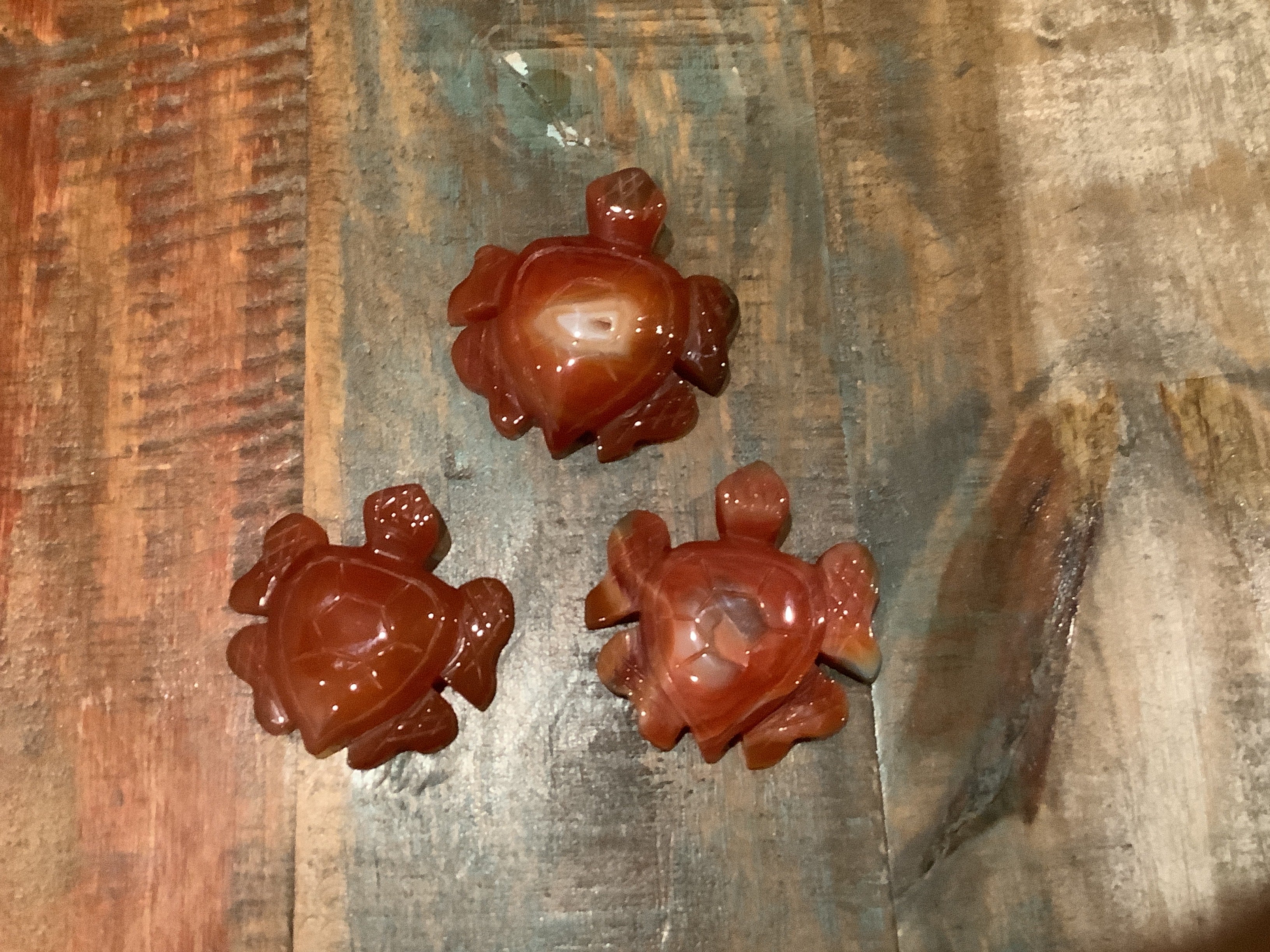 Carnelian Turtle
