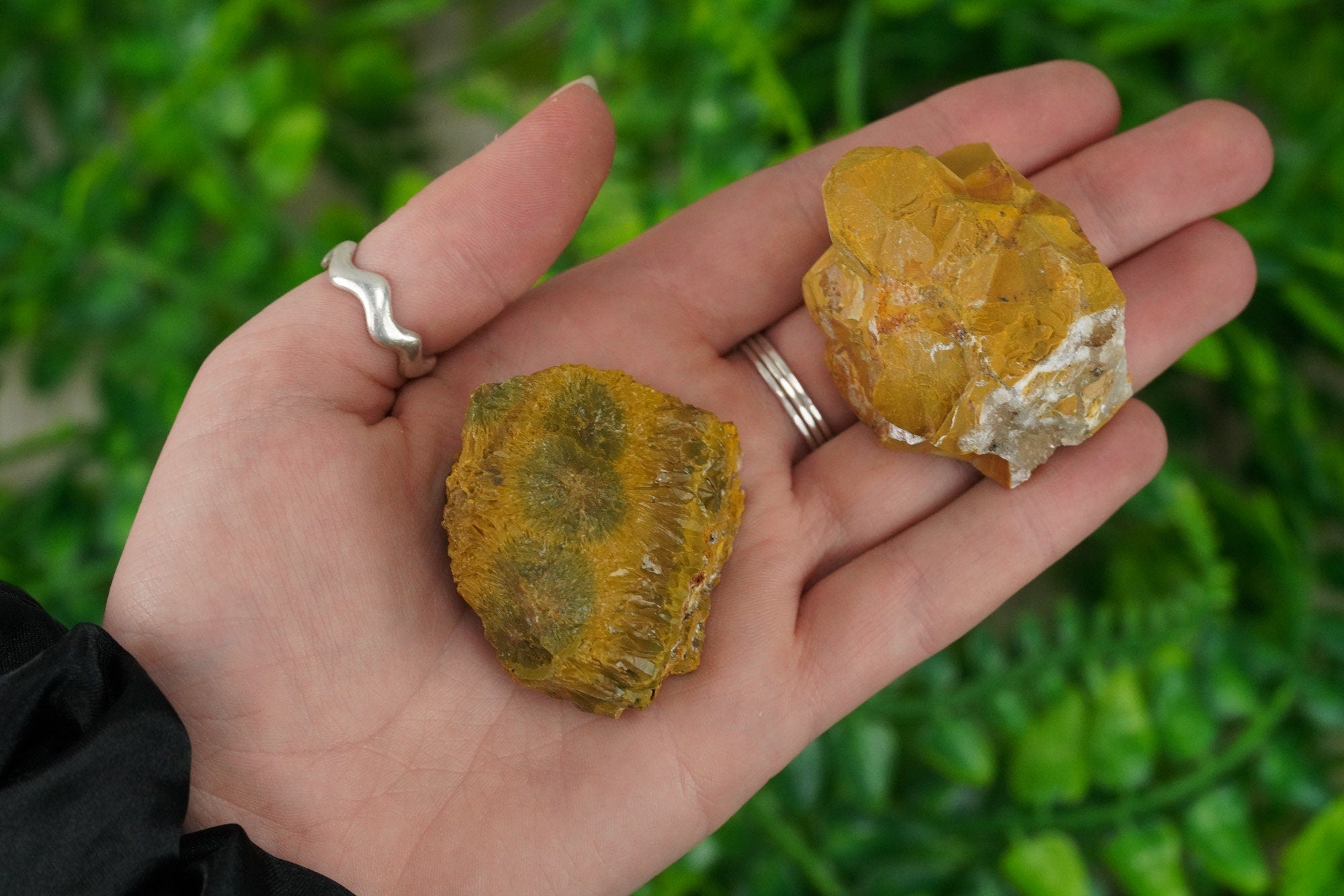 Raw Ocean Jasper Rough Crystal Orbicular Jasper