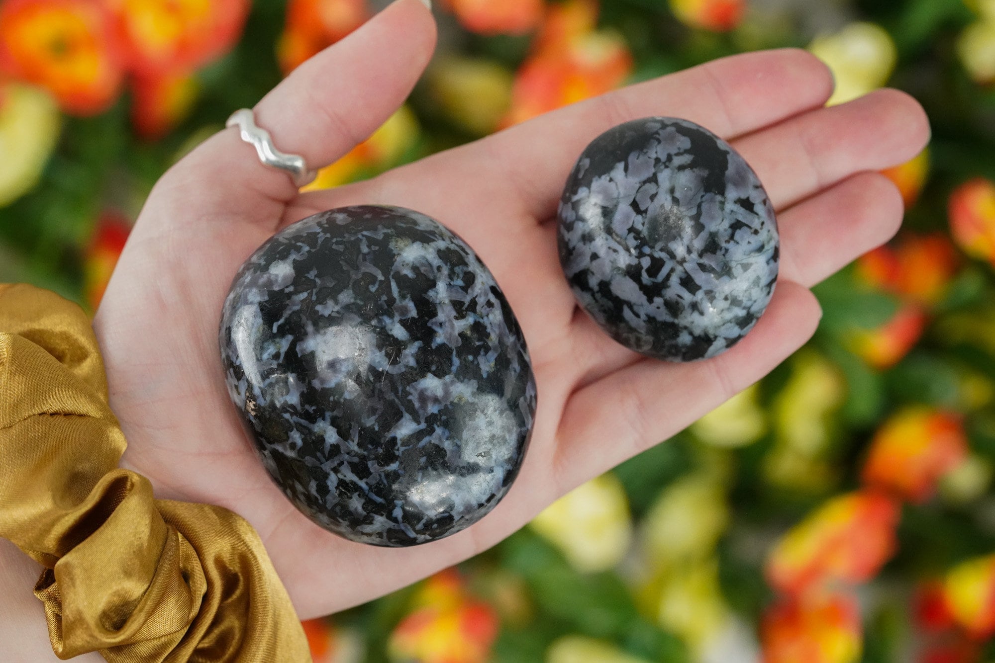 Indigo Gabbro Crystal Palm Stone Mystical Merlinite