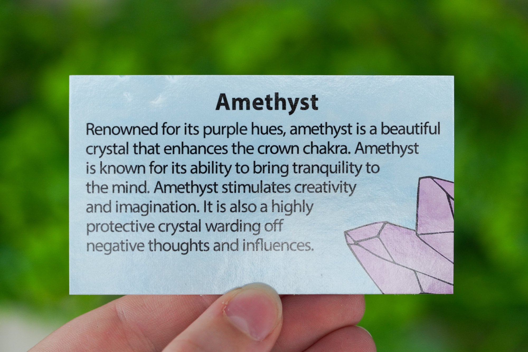 Raw Amethyst Crystal + Info Card