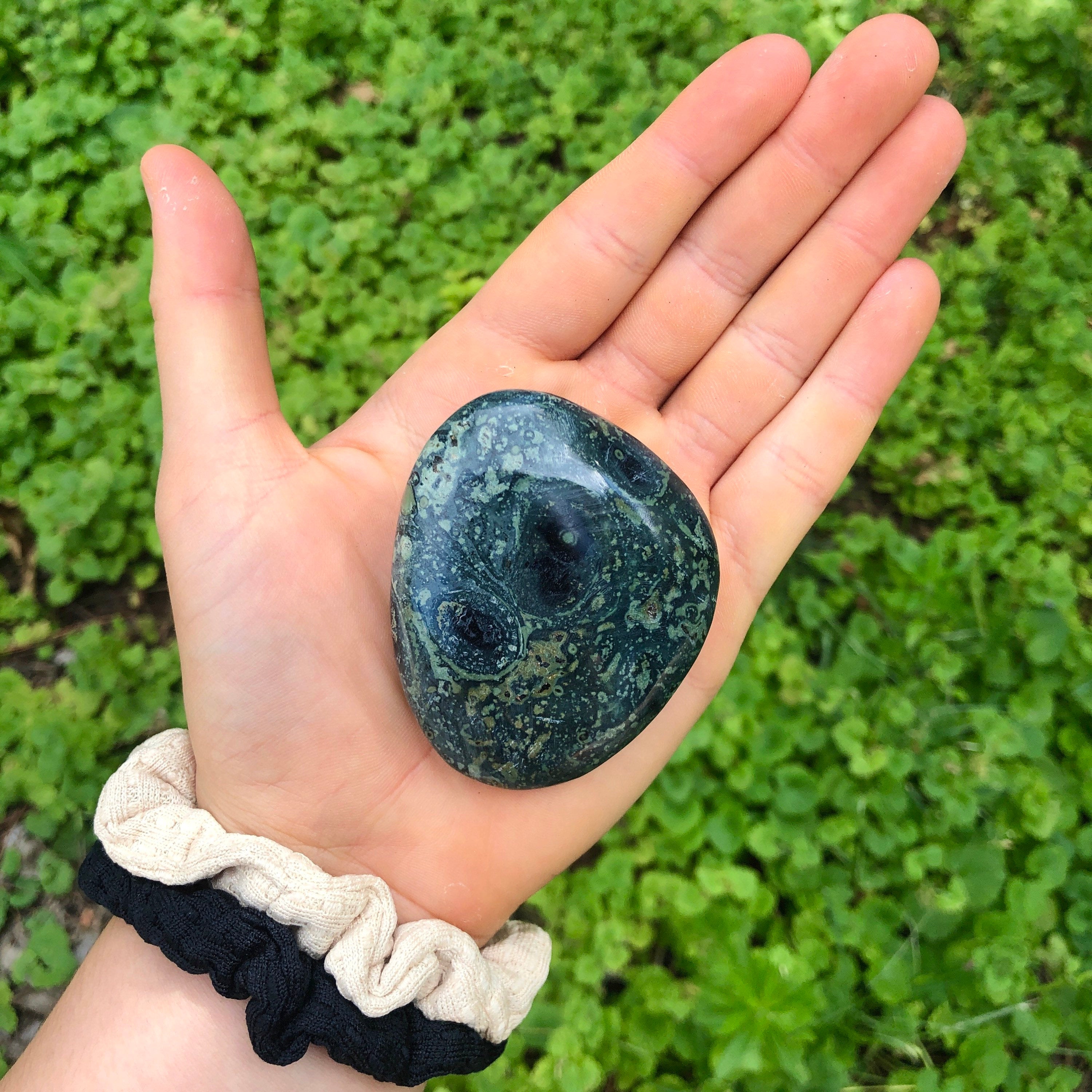 Kambaba Jasper Palm Stone