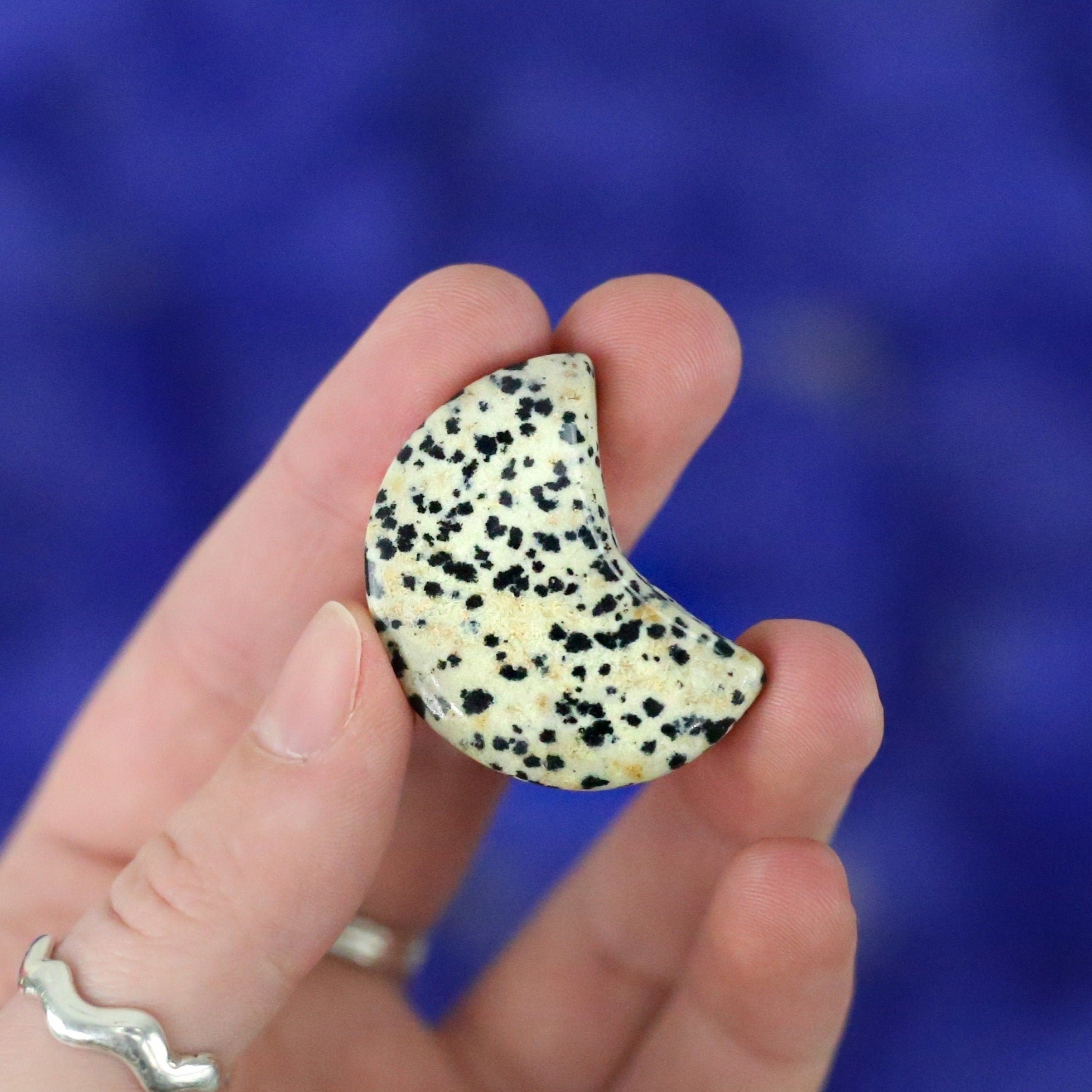 Dalmatian Jasper Crystal Crescent Moon