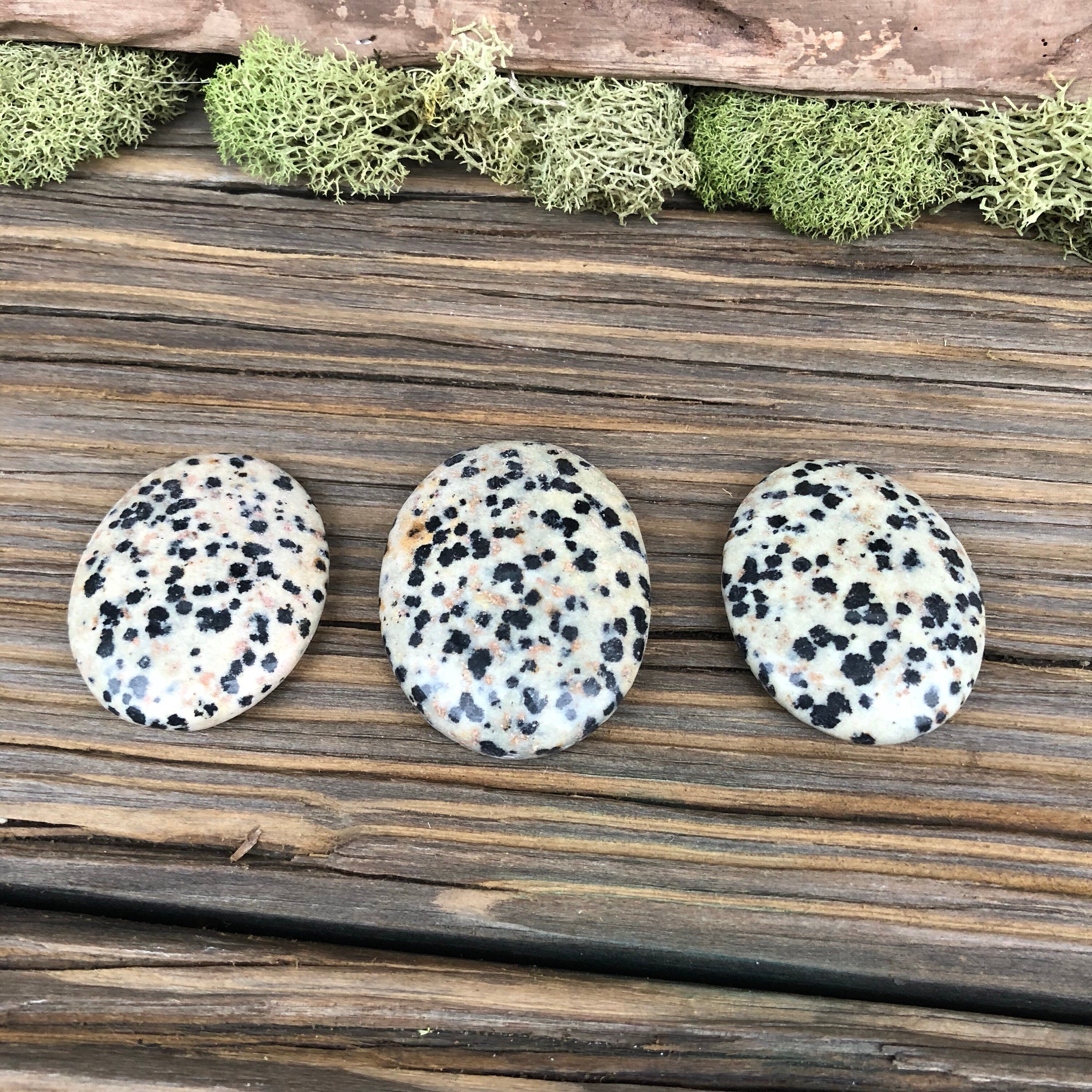 Dalmatian Jasper Worry Stone