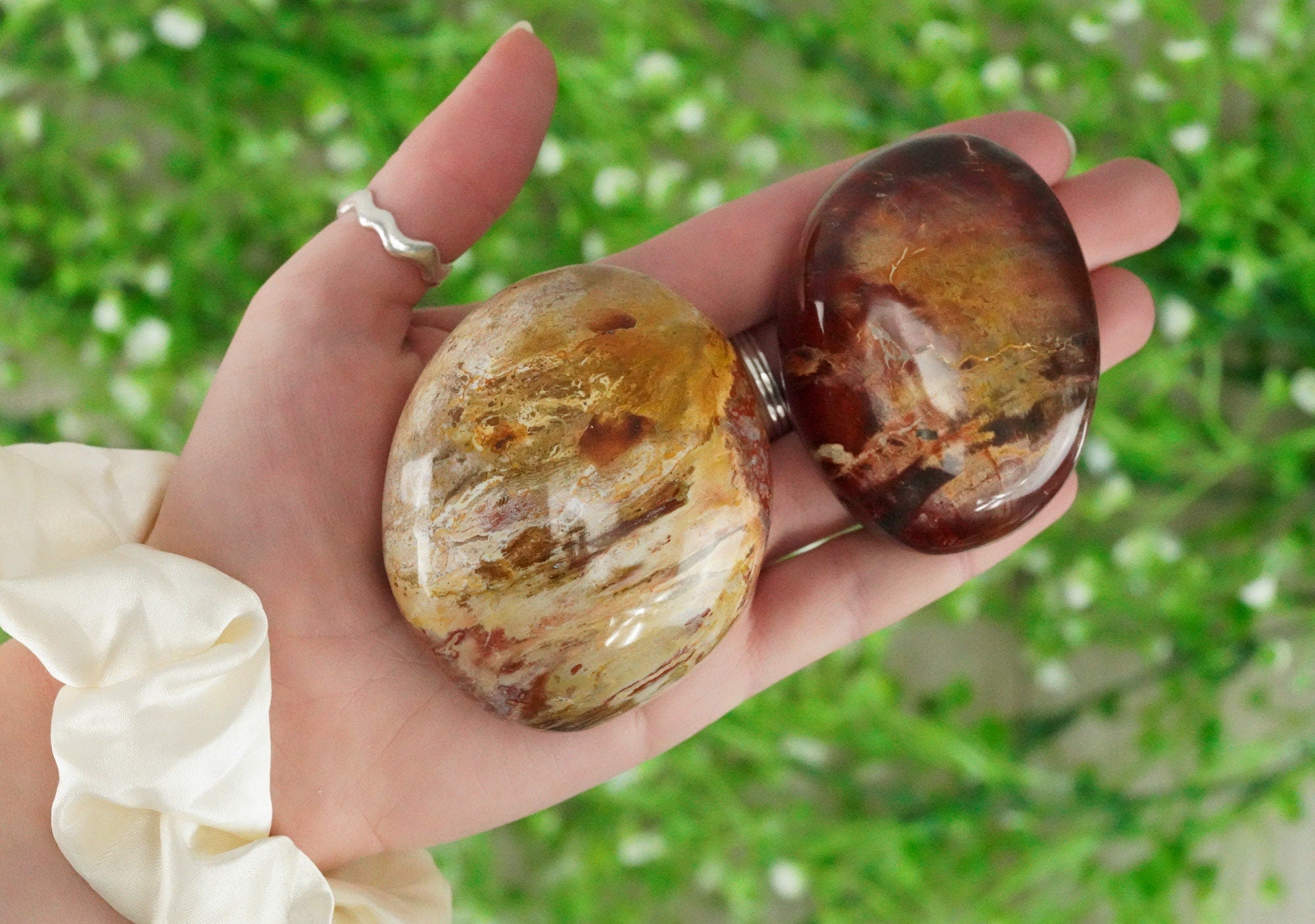 Petrified Wood Palm Stone