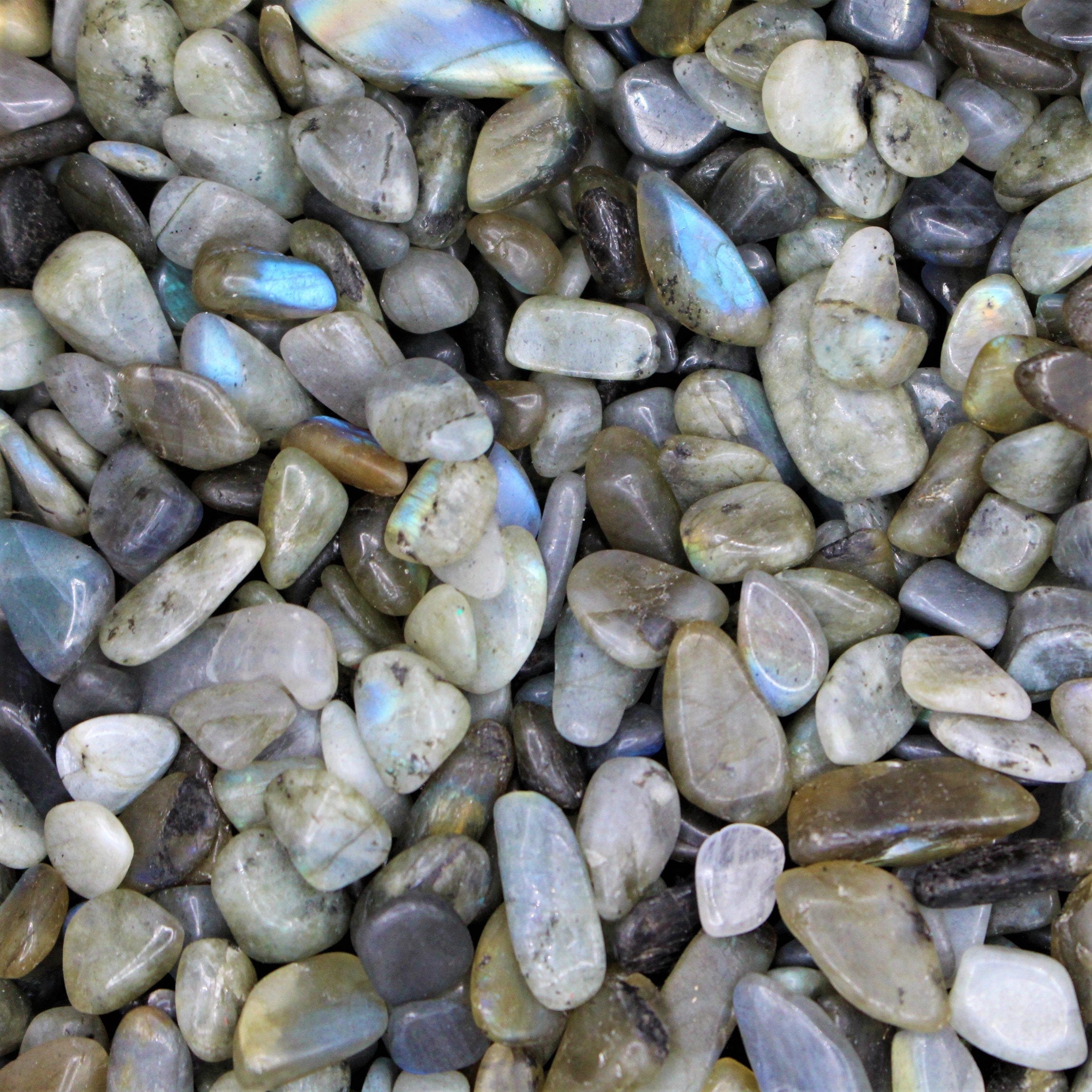 Labradorite Tumbled Crystal Chips