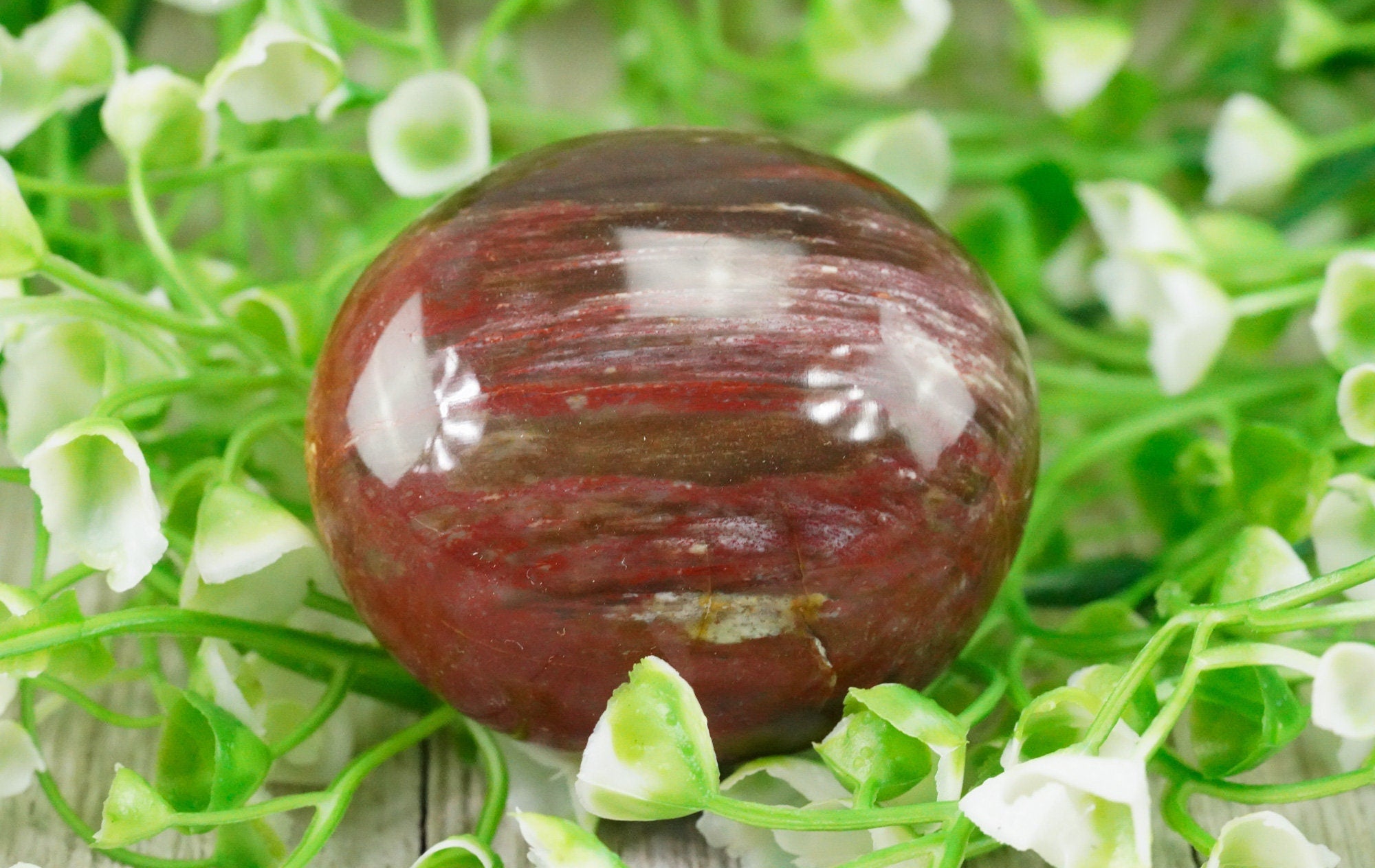 Petrified Wood Palm Stone