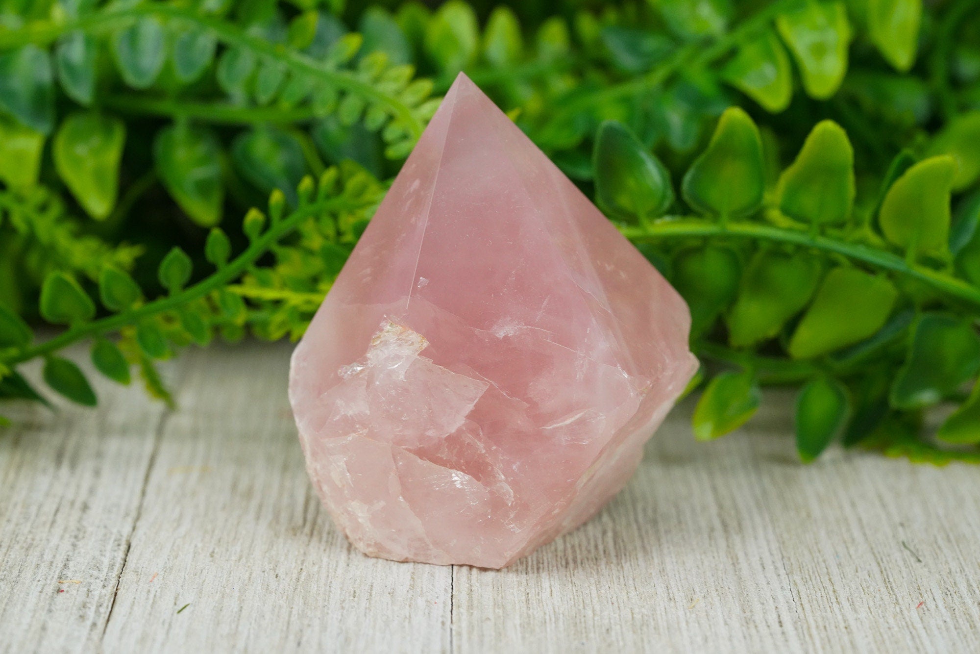 Large Raw Rose Quartz Polished Crystal Point