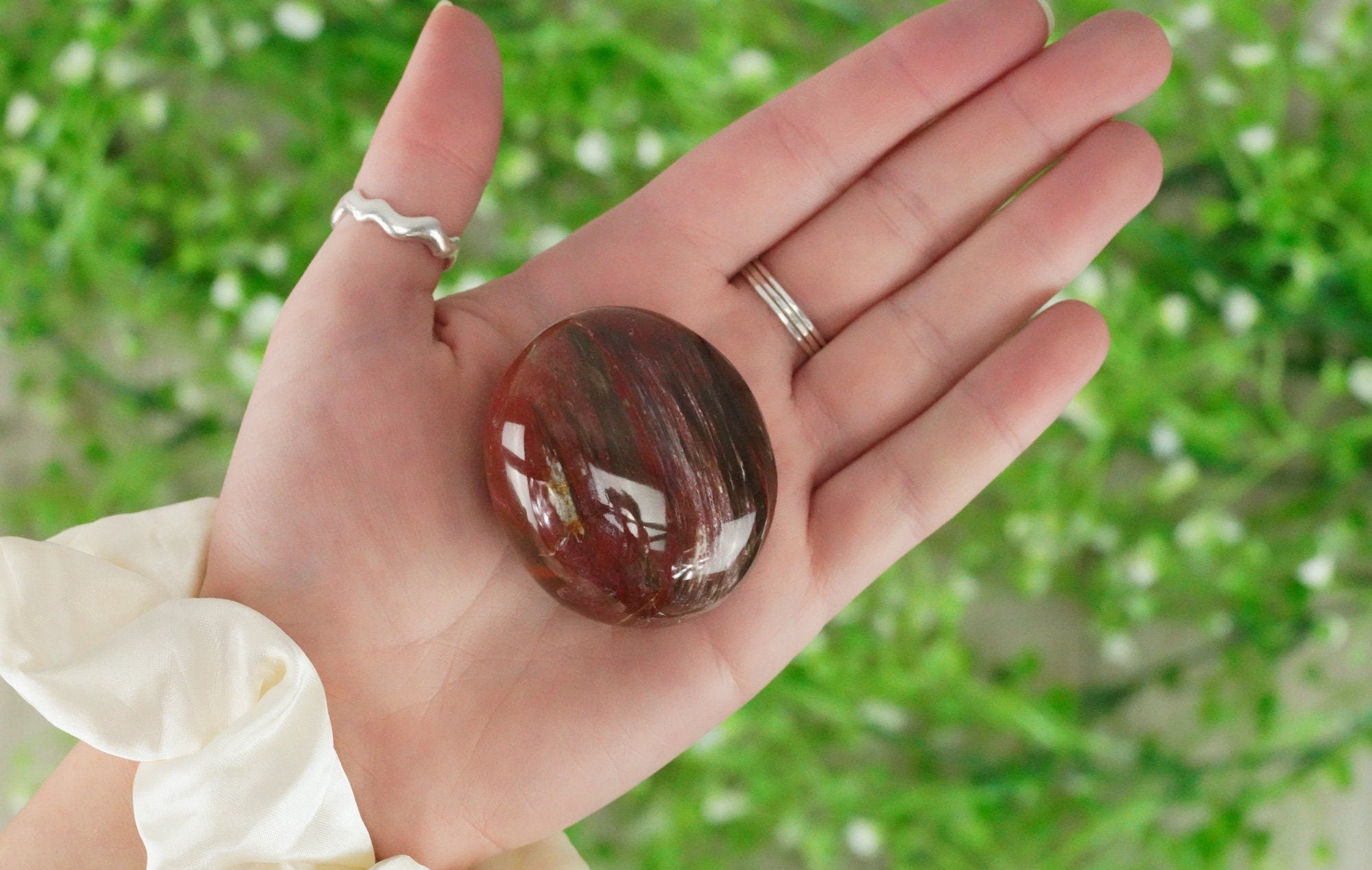 Petrified Wood Palm Stone